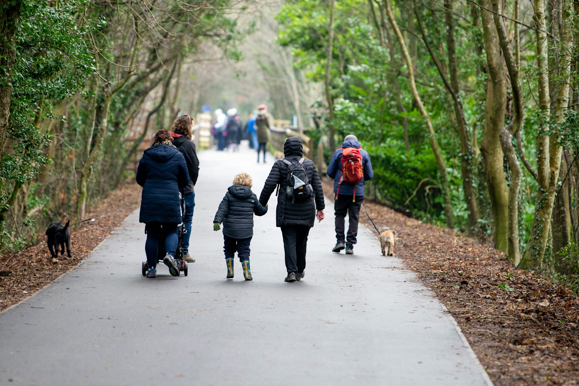 woman wearing yellow long-sleeved dress under white clouds and blue sky during daytime
