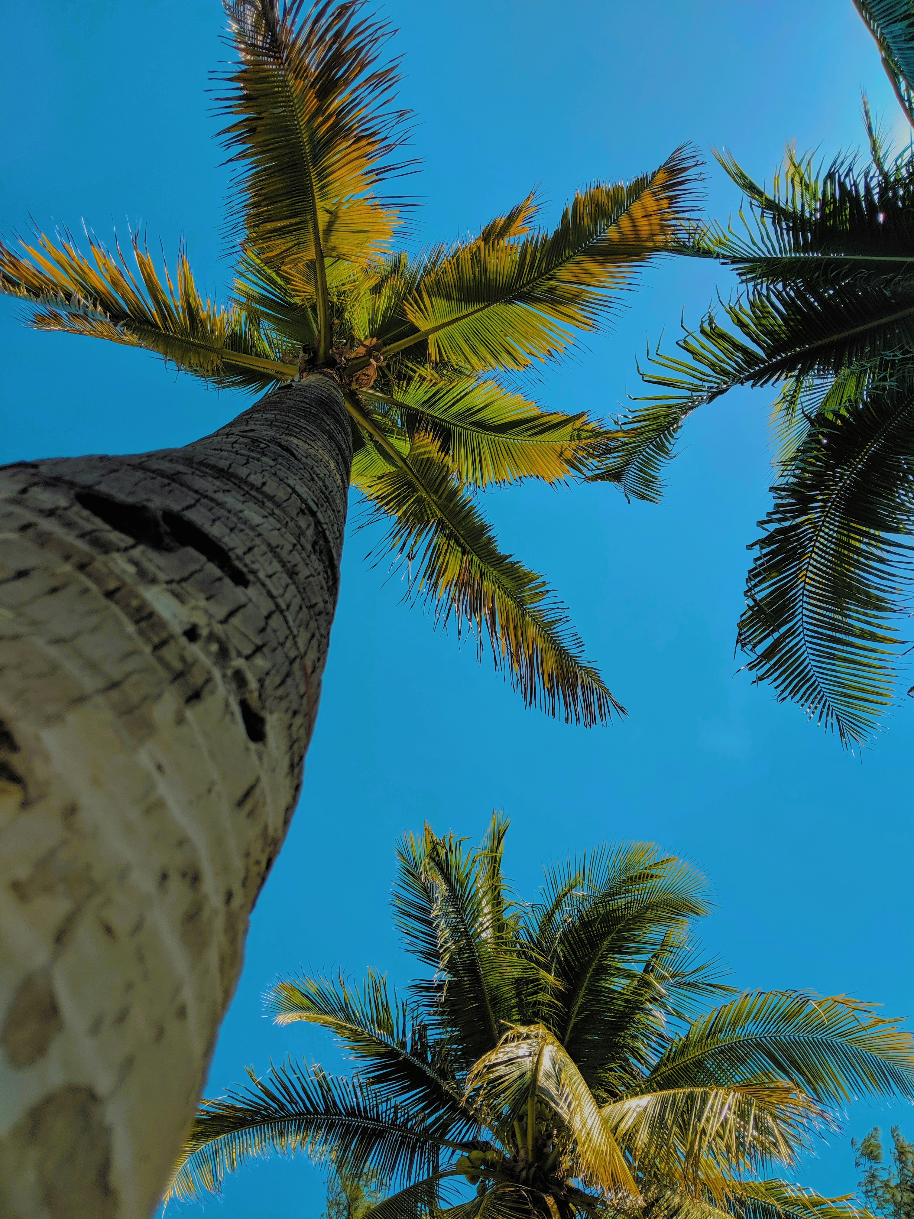 Photo by spartan117logan