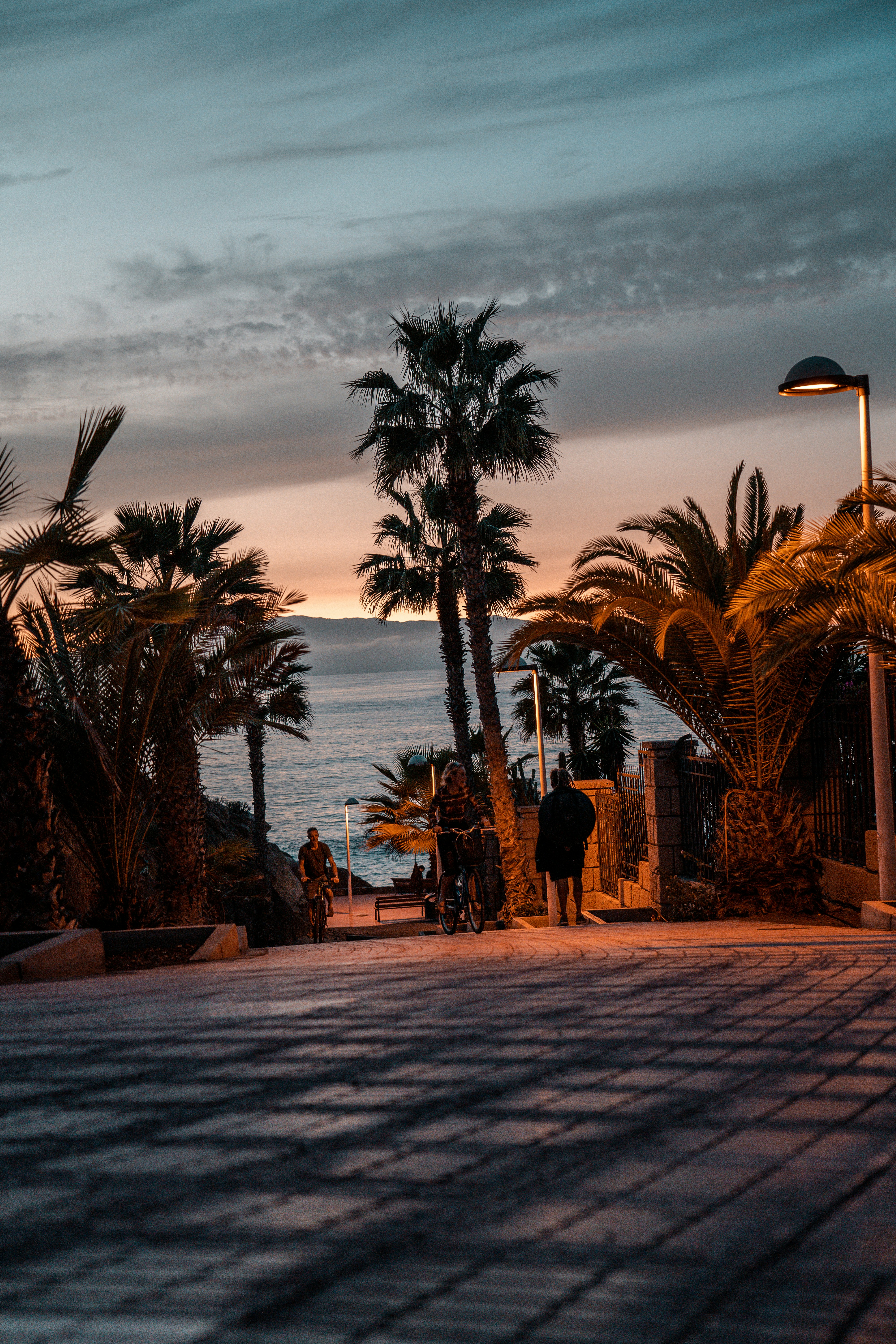 a couple of people walking down a sidewalk next to palm trees