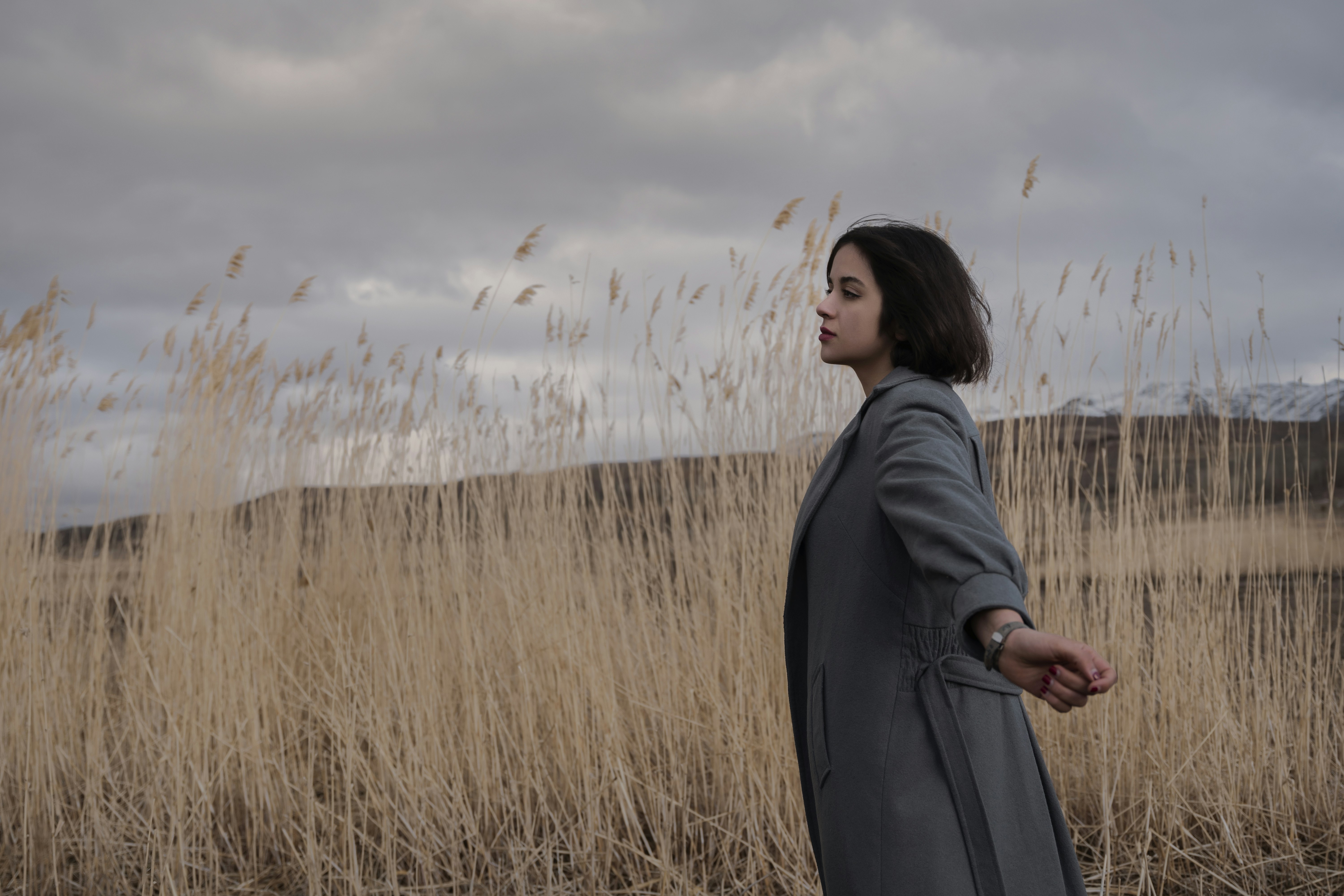 Photo by alikarimibn