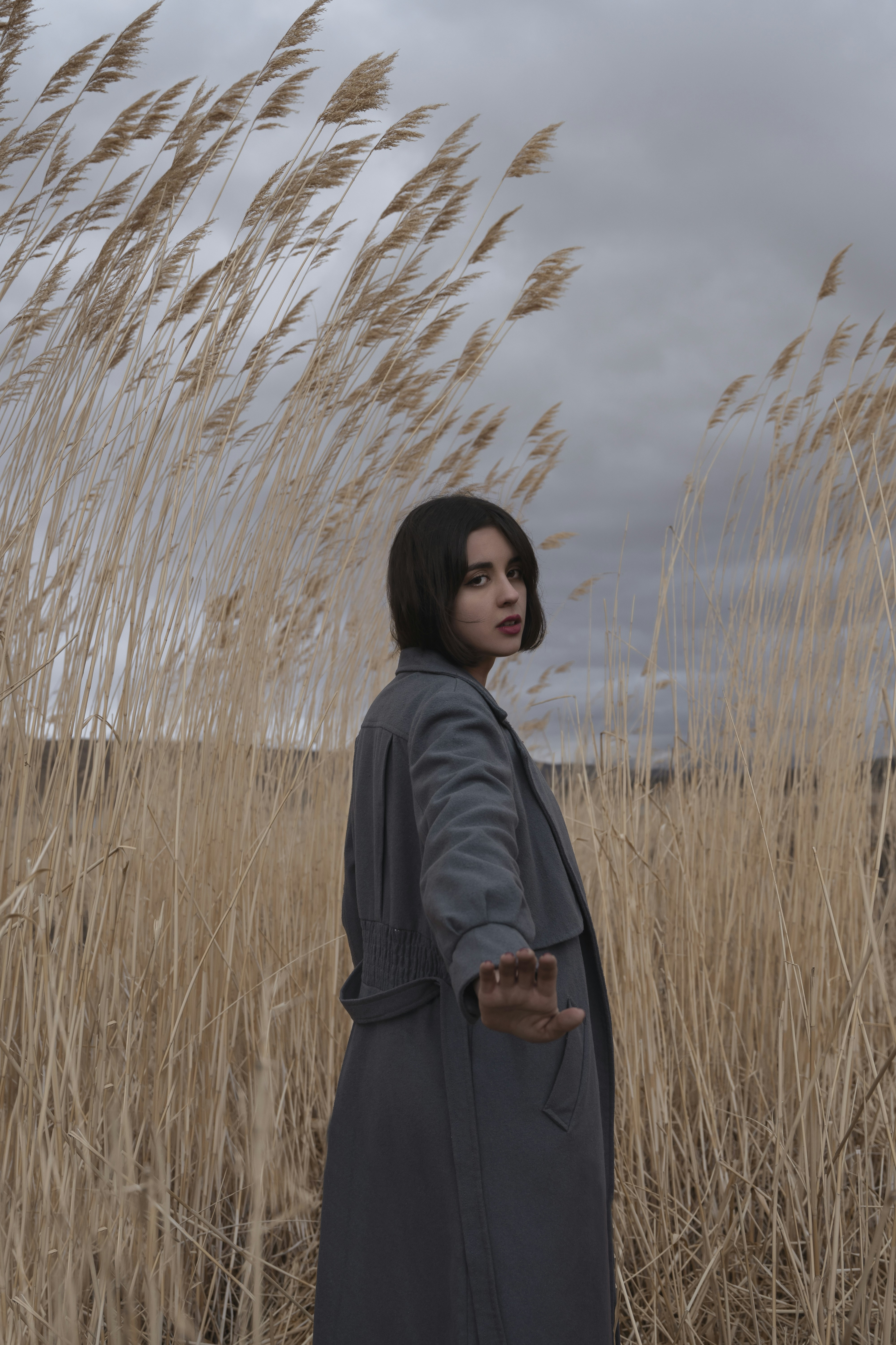 Photo by alikarimibn