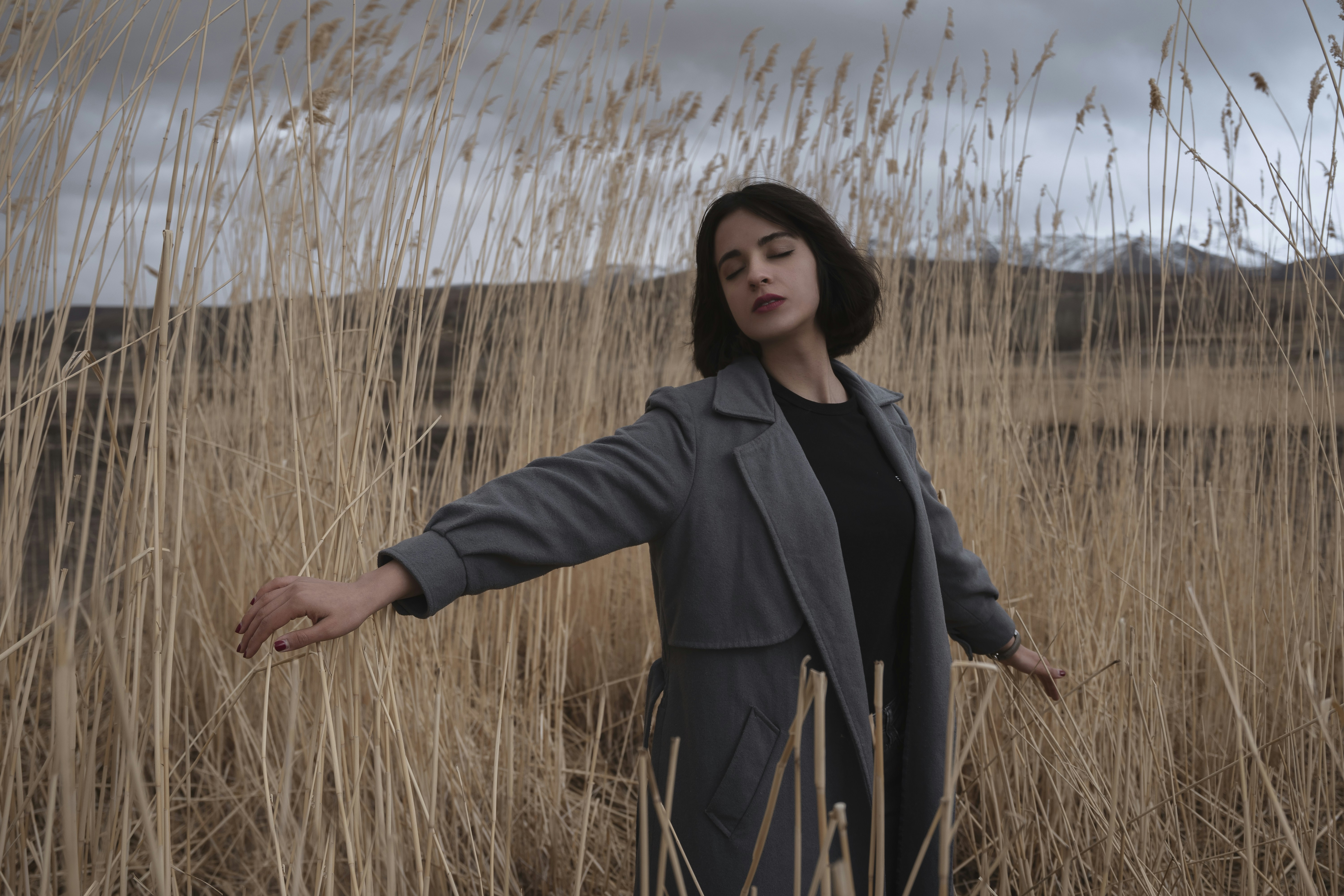 Photo by alikarimibn