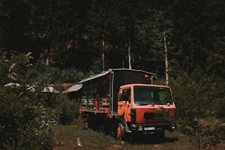 a truck parked in the middle of a forest