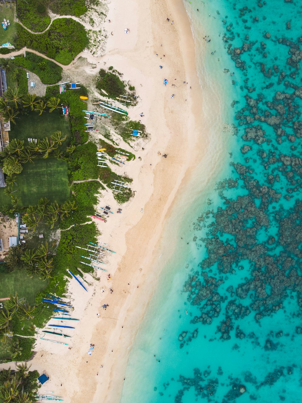 an aerial view of a sandy beach and ocean