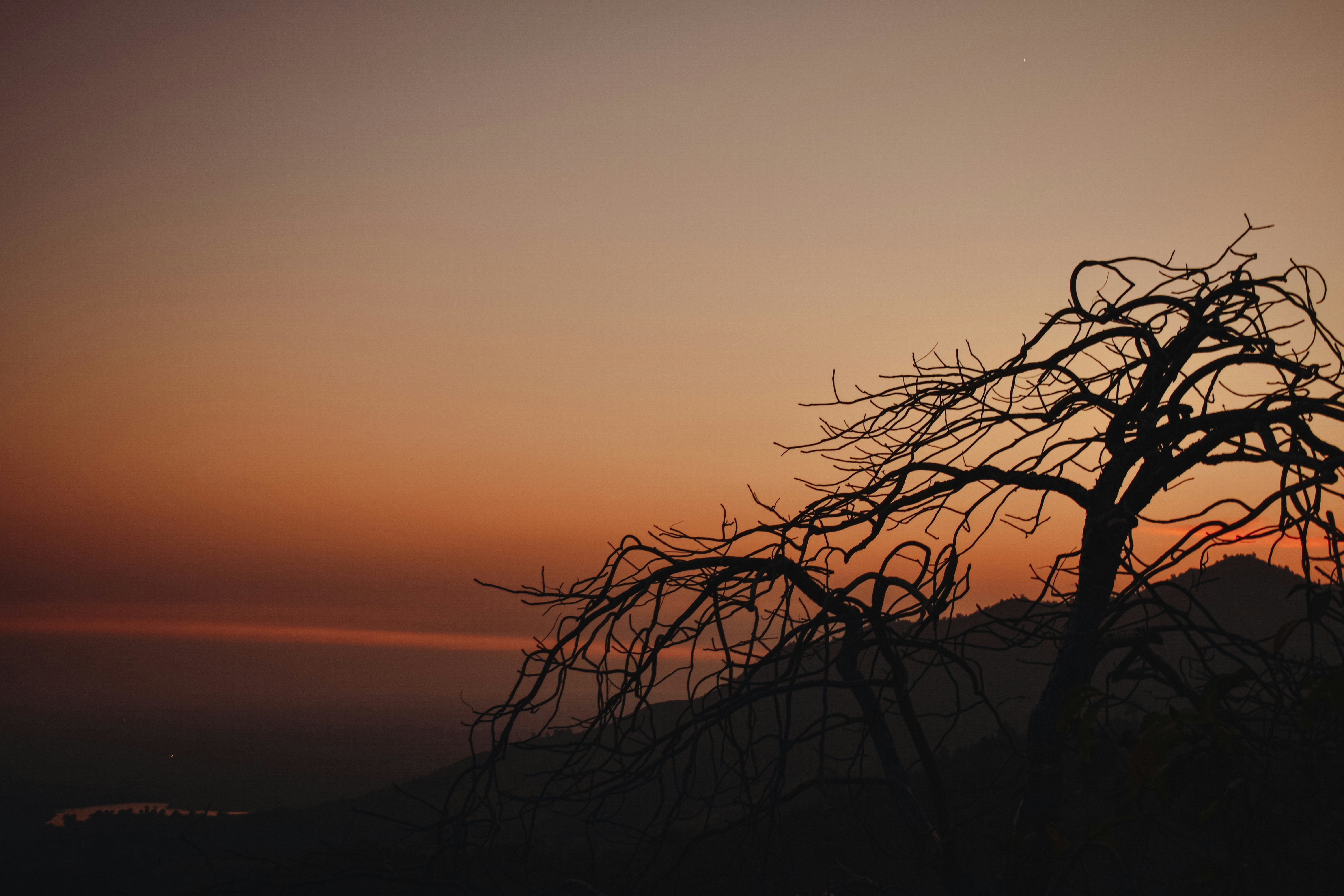 Photo by atomsmasher