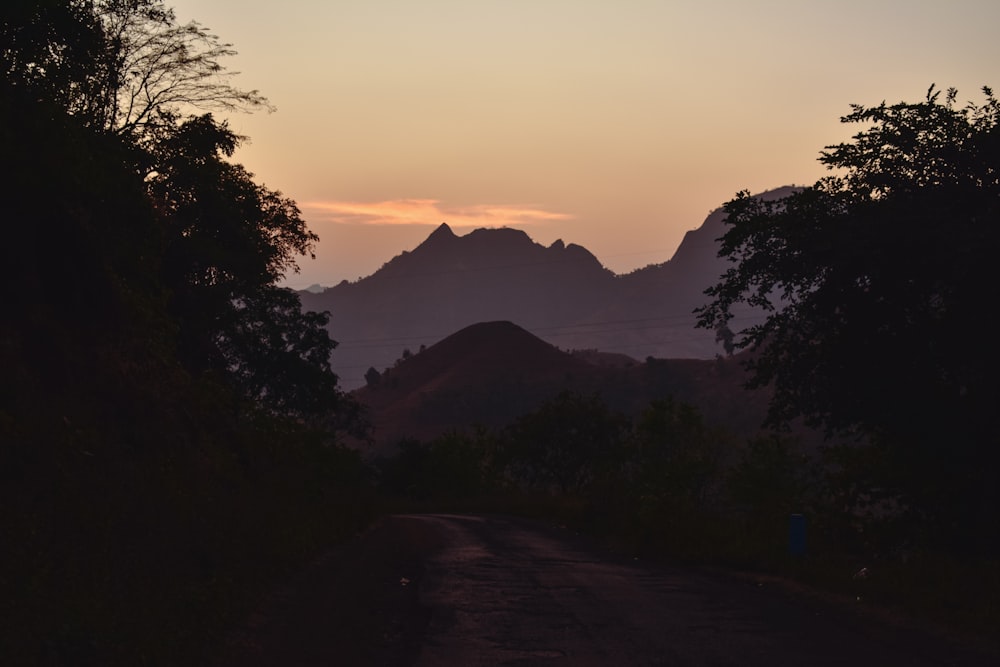 a dirt road with trees and mountains in the background