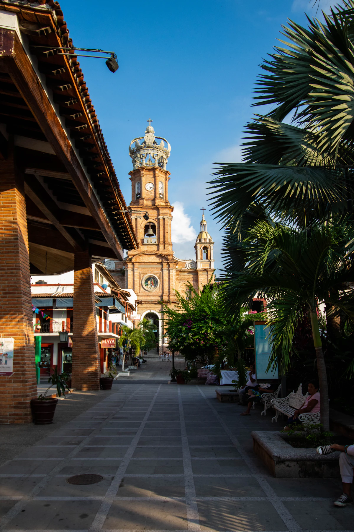 Bucerias beach town with palm trees