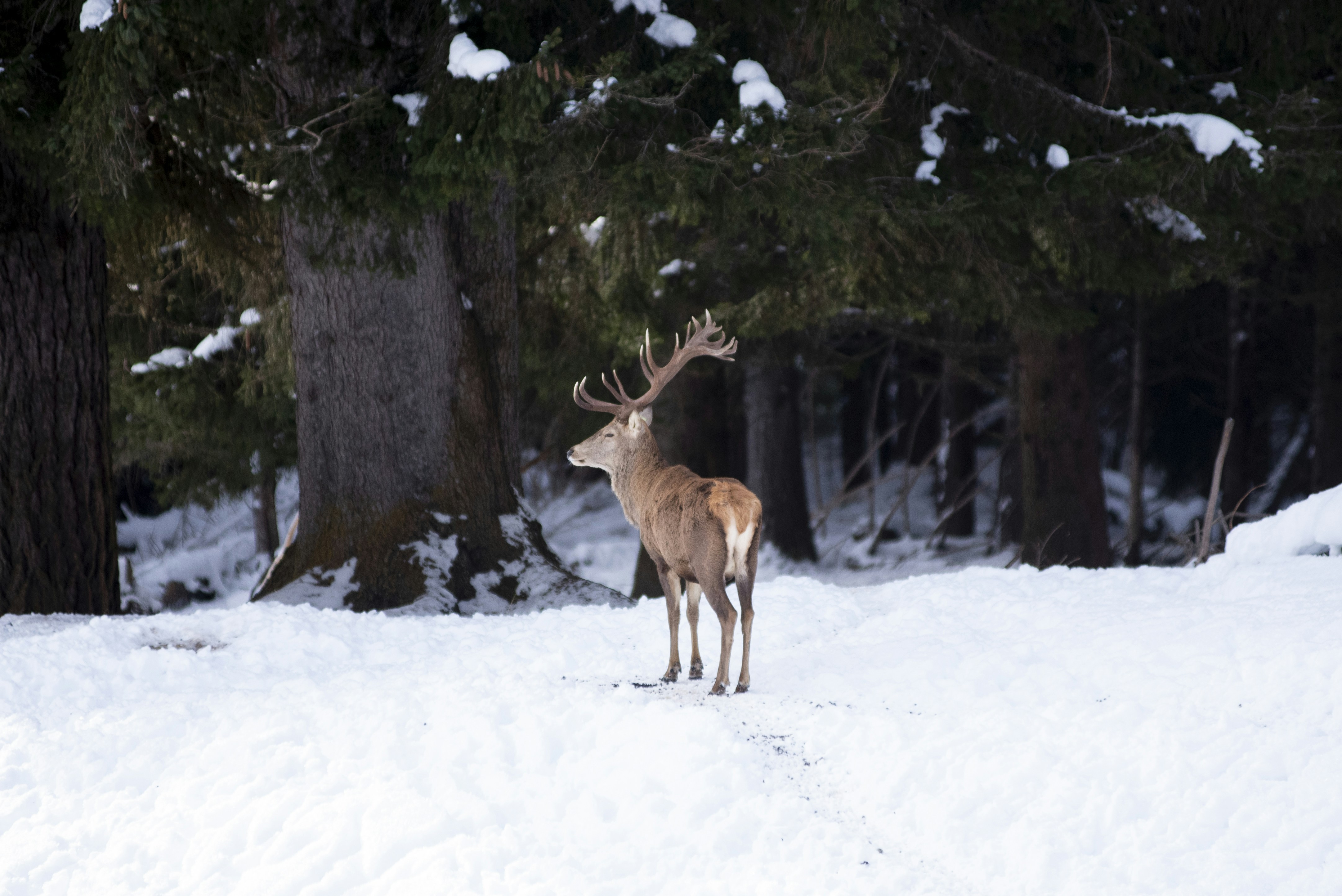 Photo by blackbirdflyaway