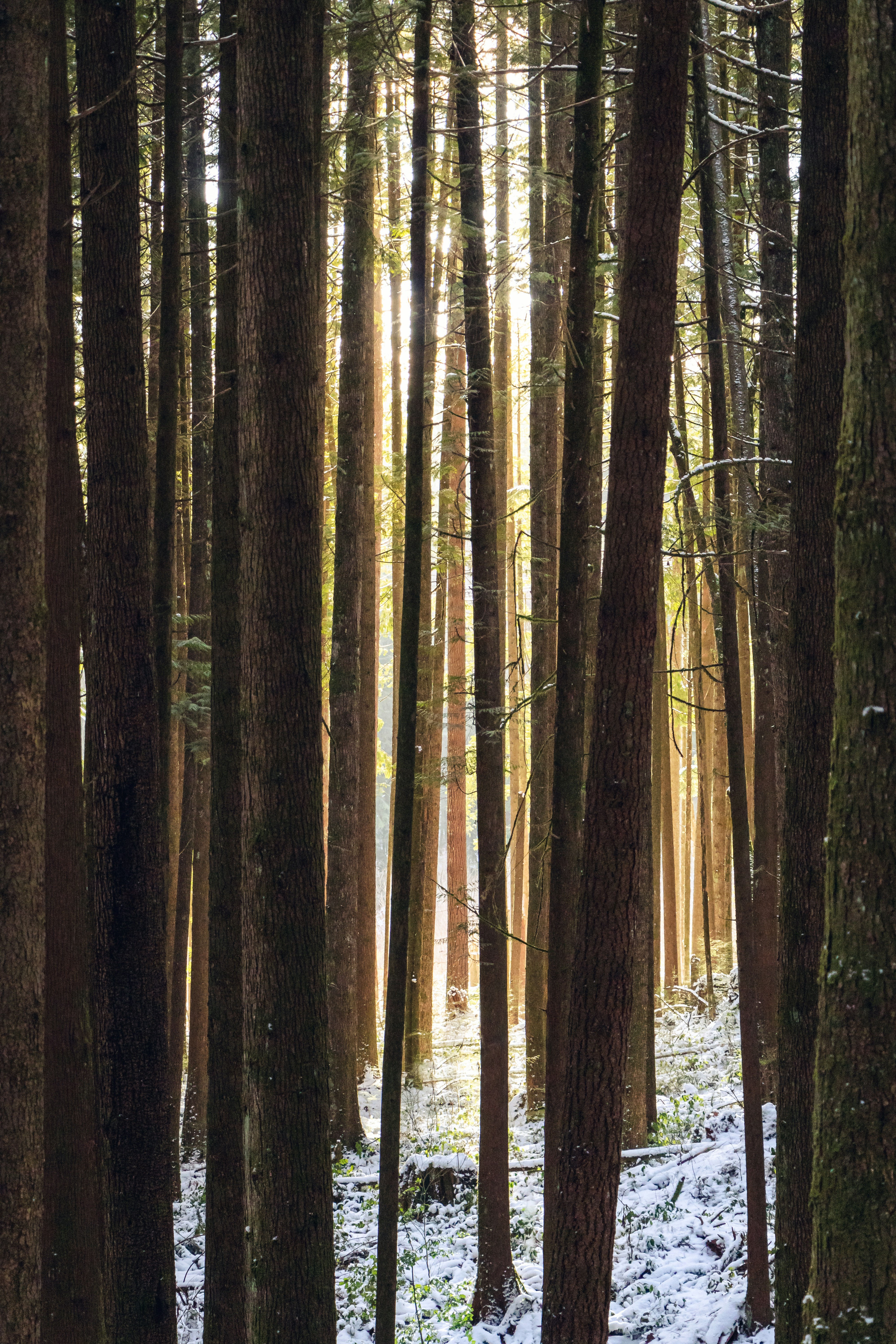 Photo by greg_rosenke