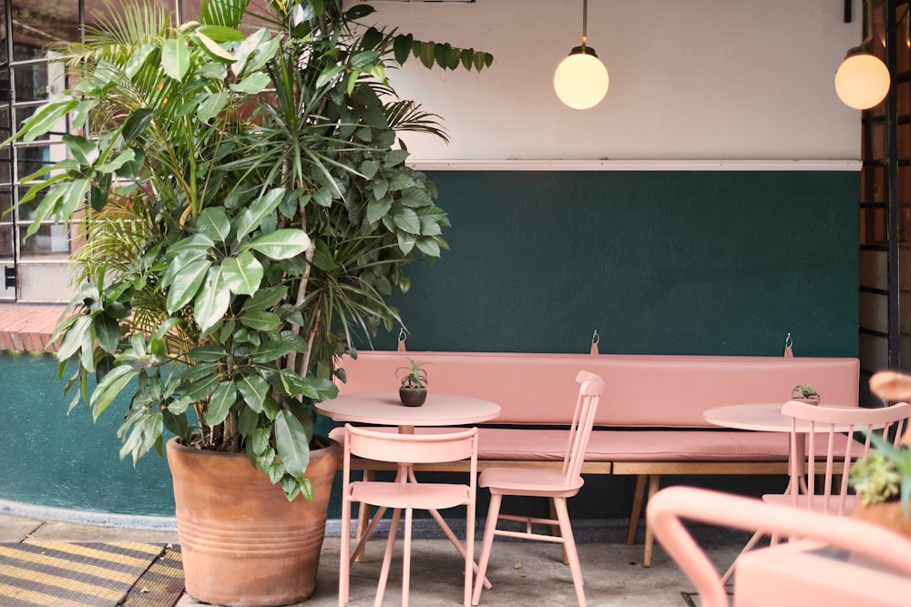 a table and chairs with a potted plant next to it
