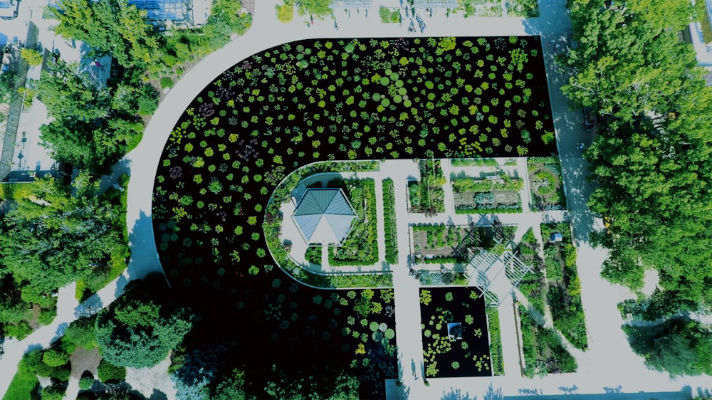 an aerial view of a park with a lot of trees