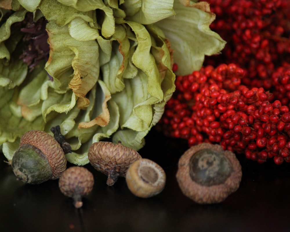 a close up of a bunch of leaves and nuts