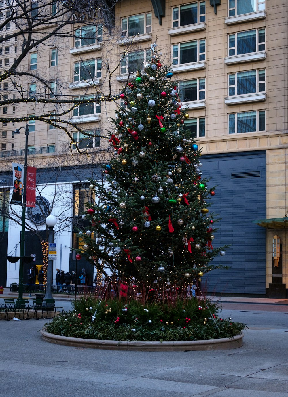 a large christmas tree in the middle of a street