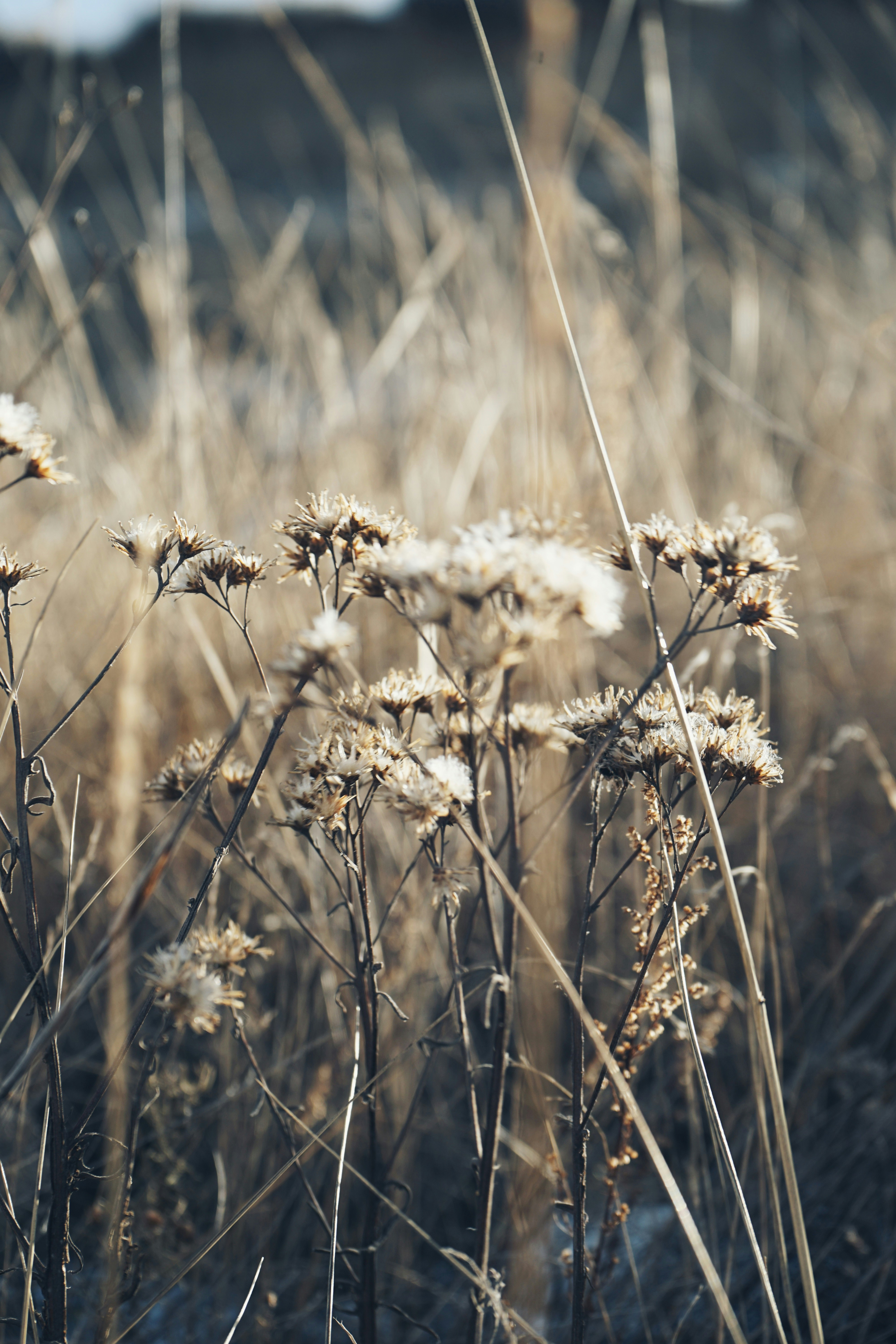 Photo by judahwester