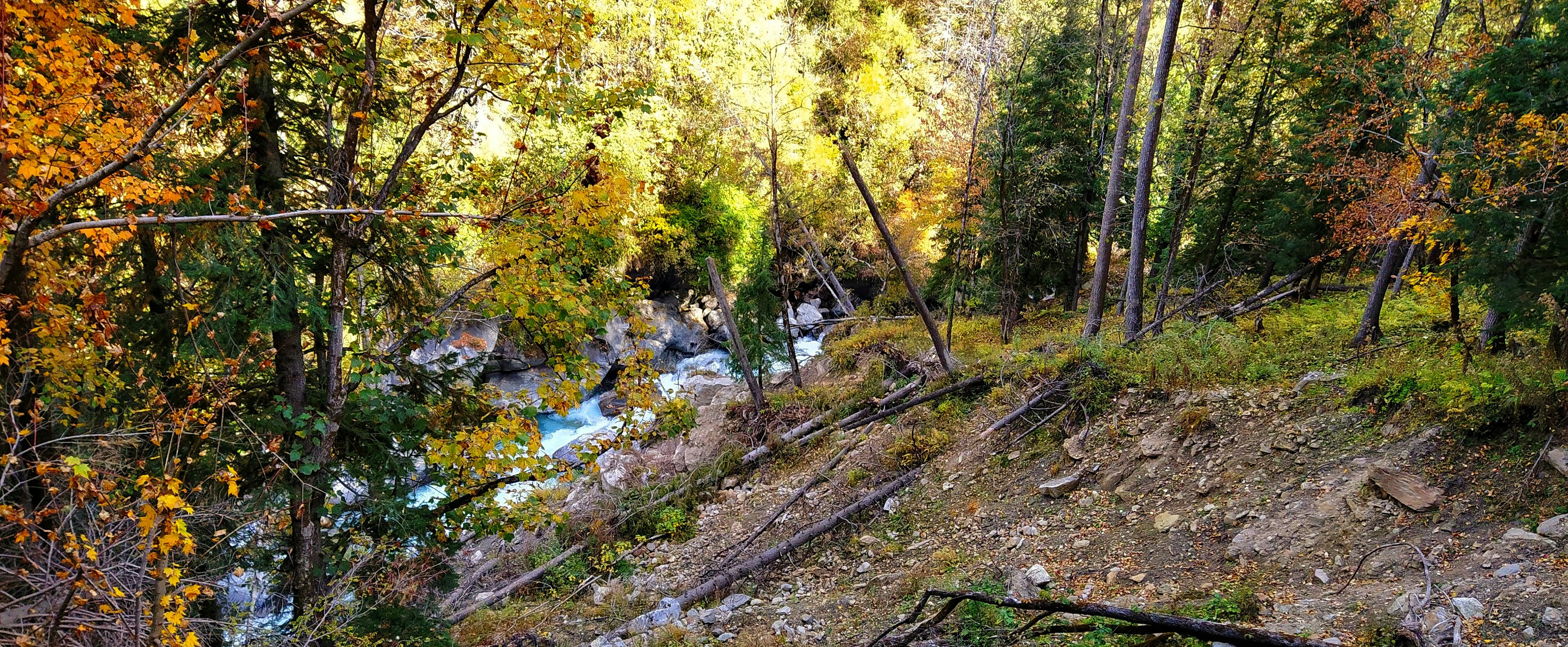 Photo by devansharma