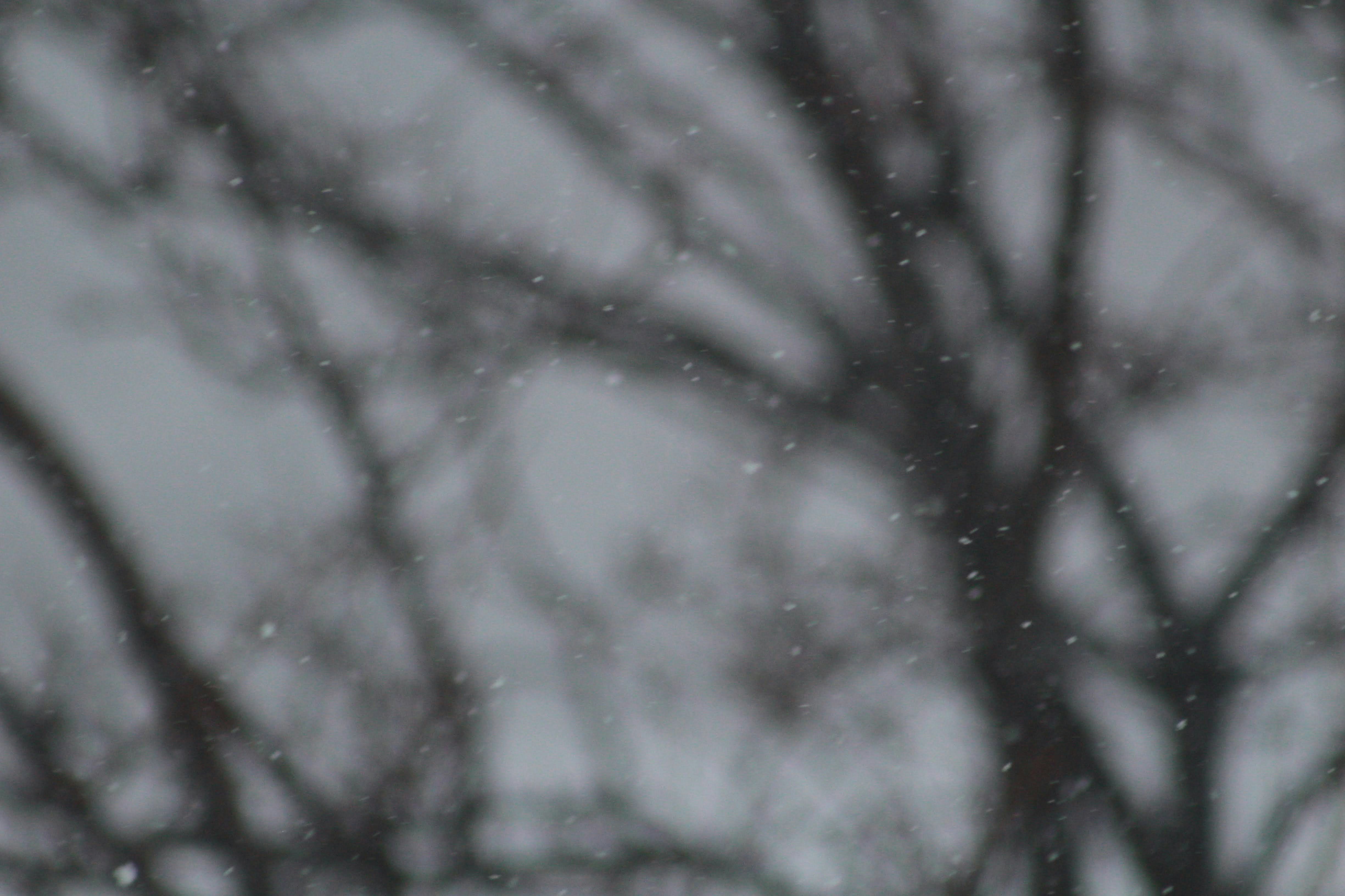 Photo by joshua_hoehne