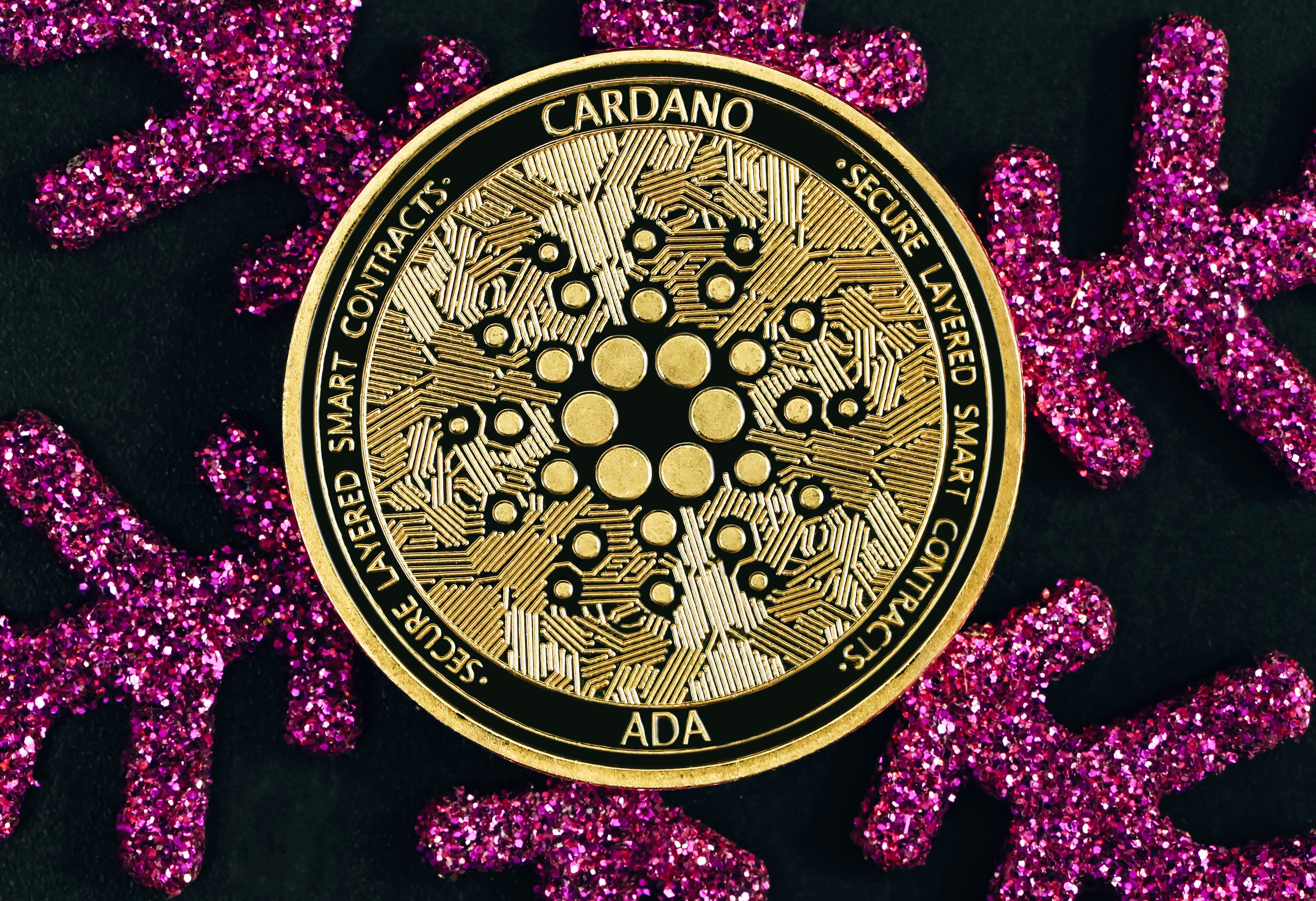 Cardano (ADA) знову в «режимі виживання» незважаючи на накопичення китів та плани розширення DeFi