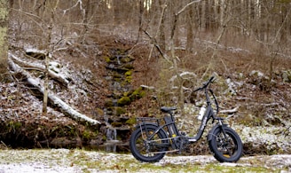 a bike parked in the snow in a wooded area