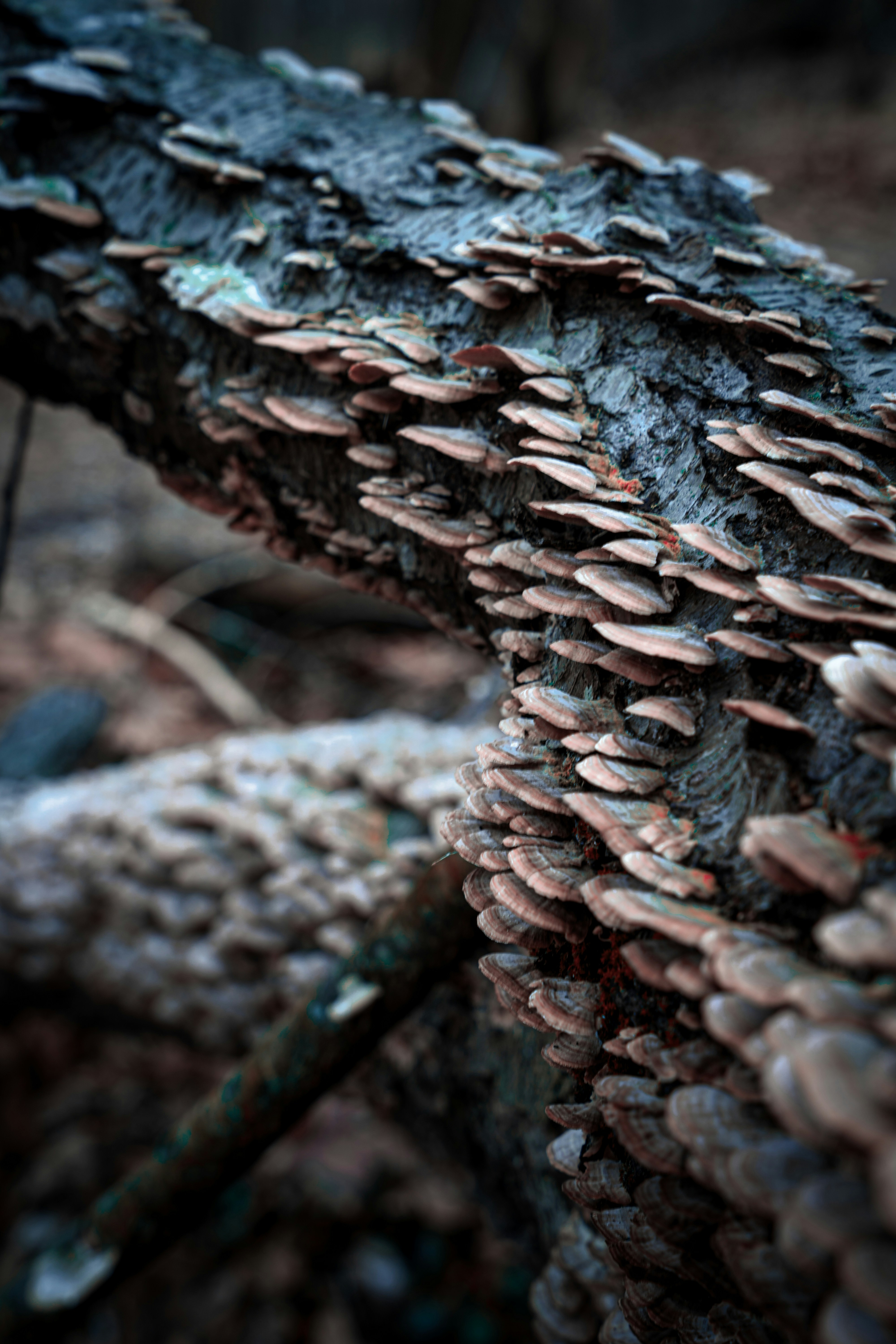 Photo by noah_ilbery