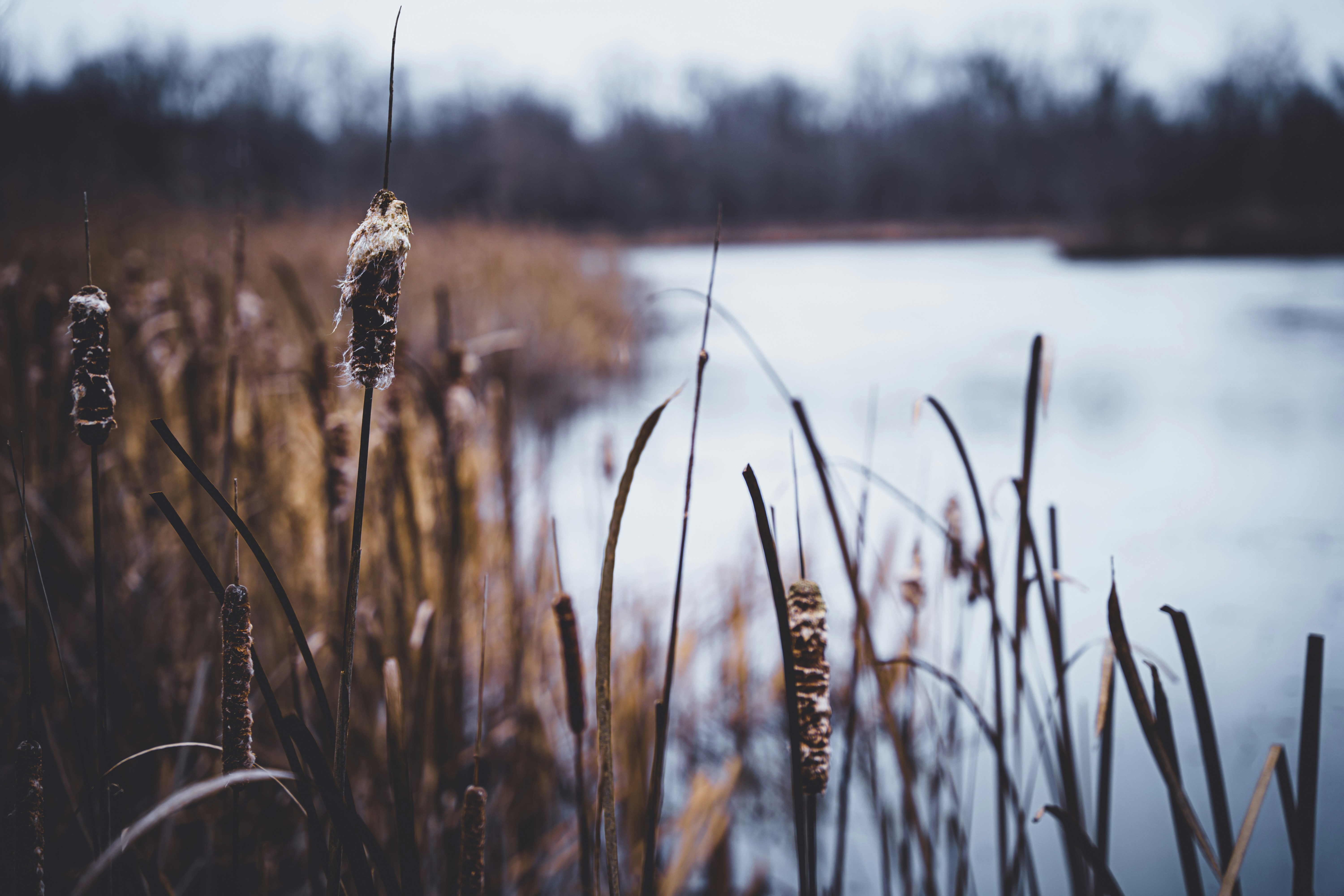 Photo by noah_ilbery