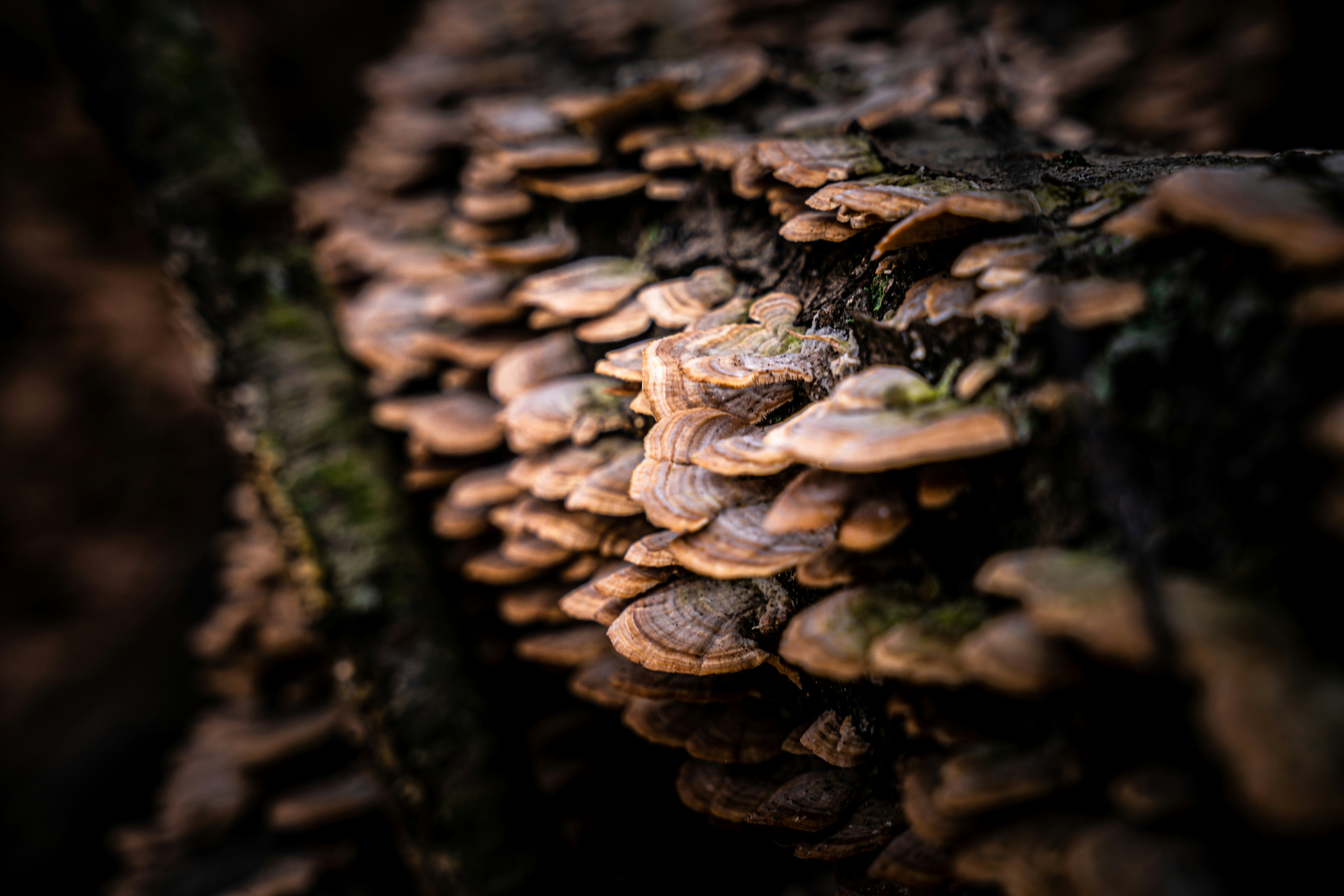 Photo by noah_ilbery