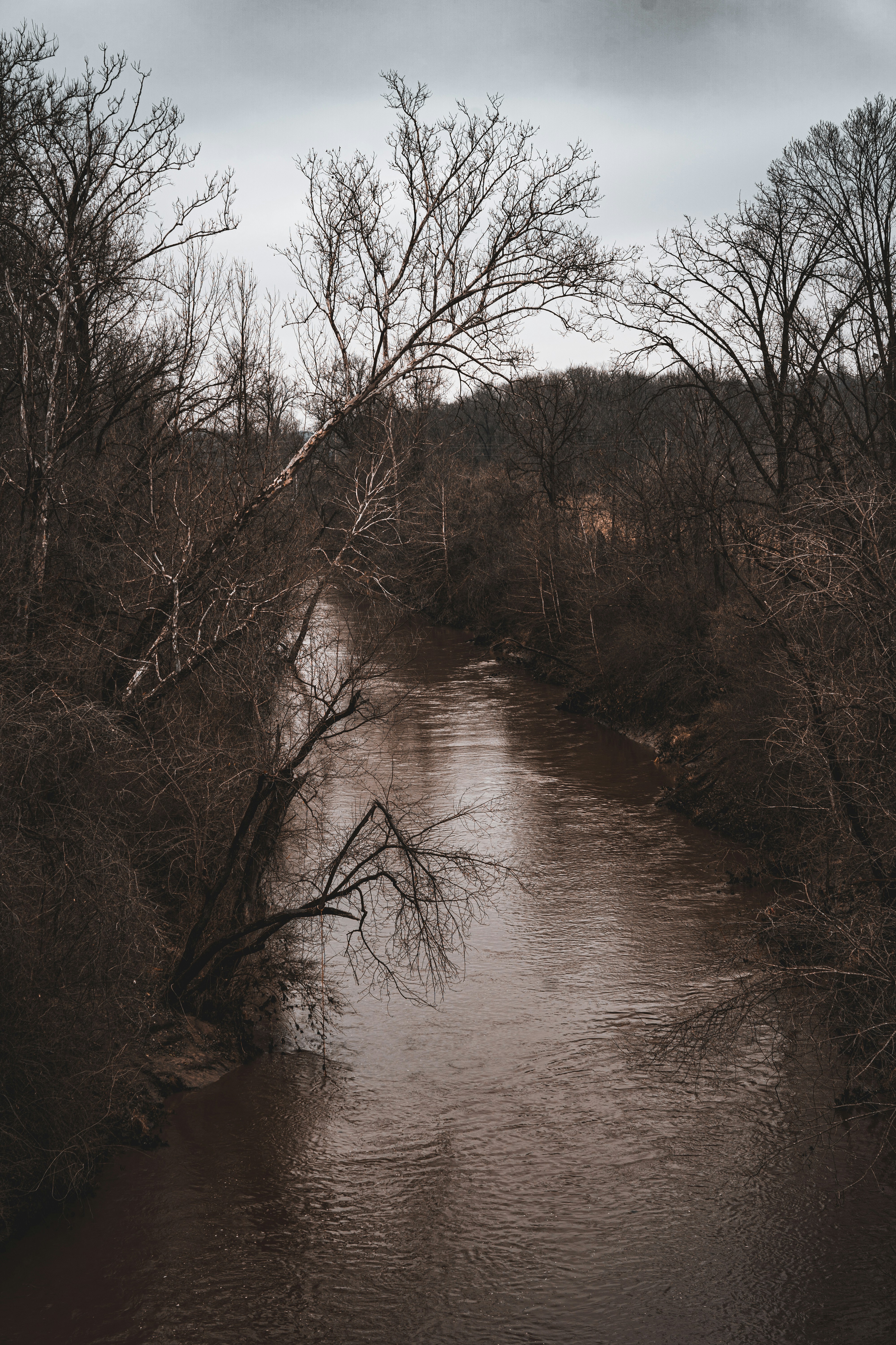 Photo by noah_ilbery