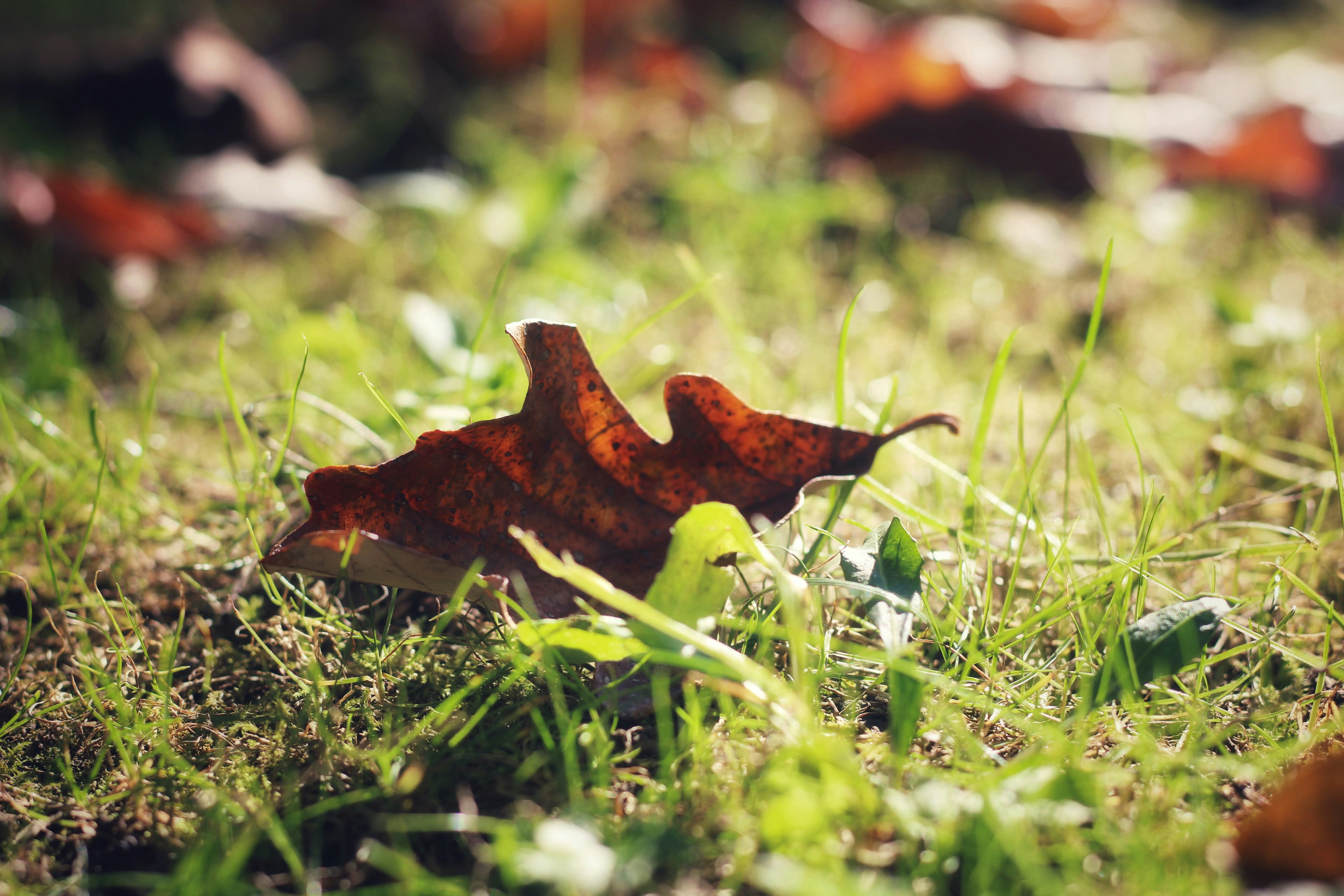 Photo by hocuspocusphotography