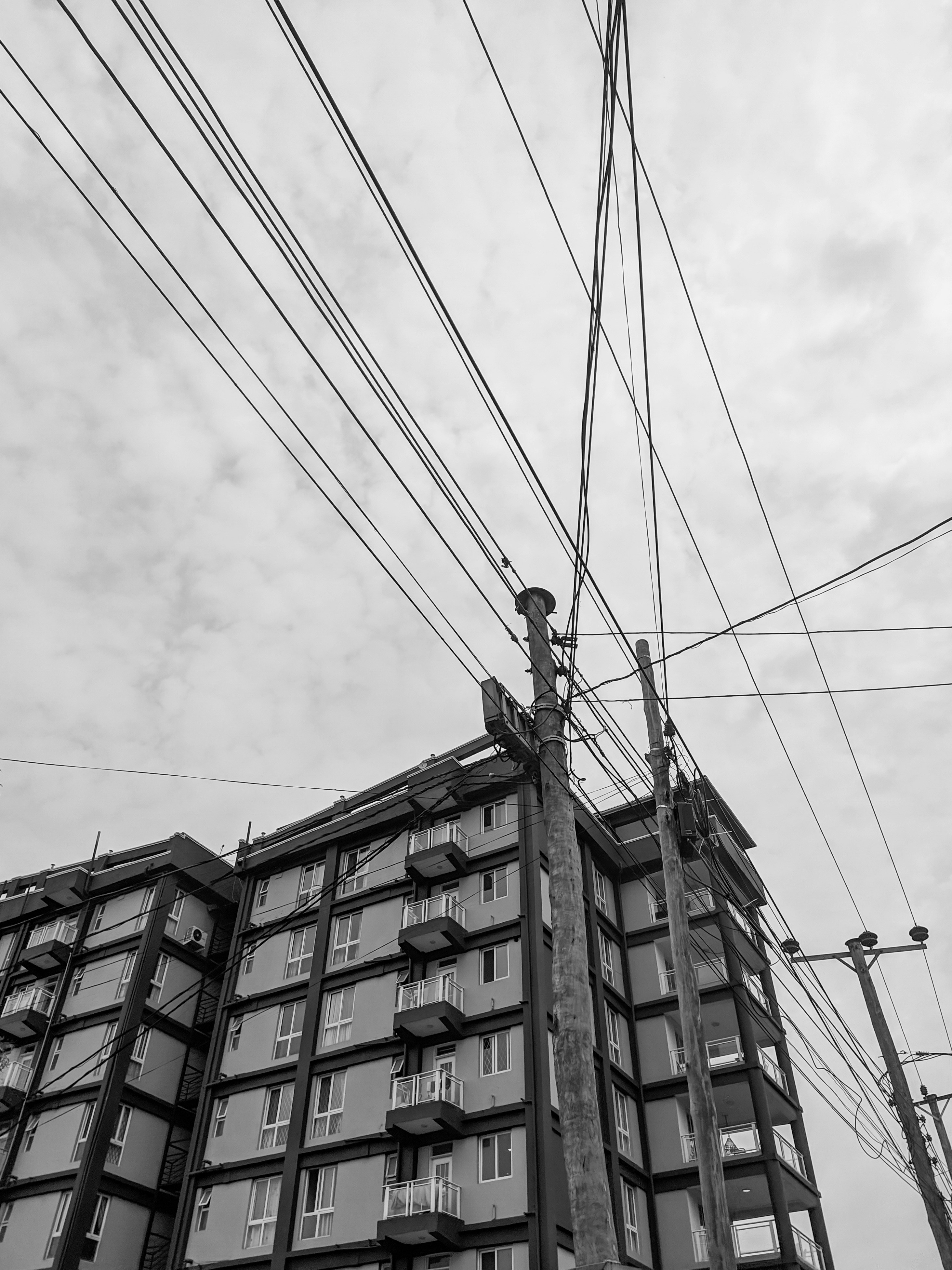 Photo by princebeguin