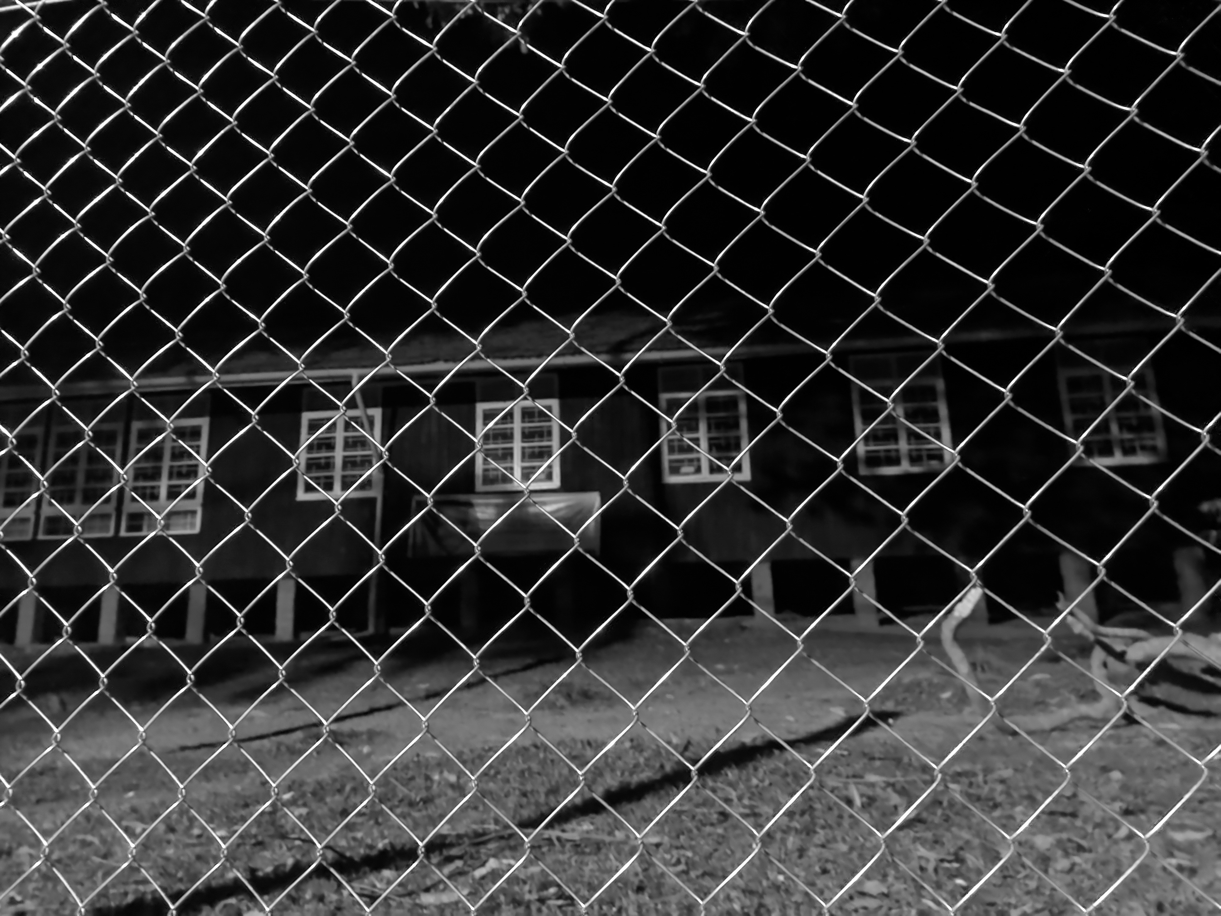 Photo by princebeguin