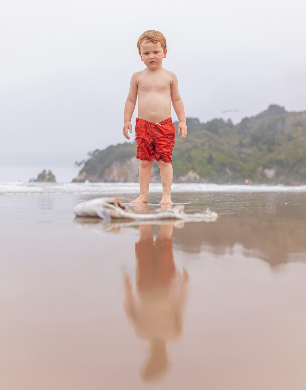 a young boy standing on a surfboard on the beach
