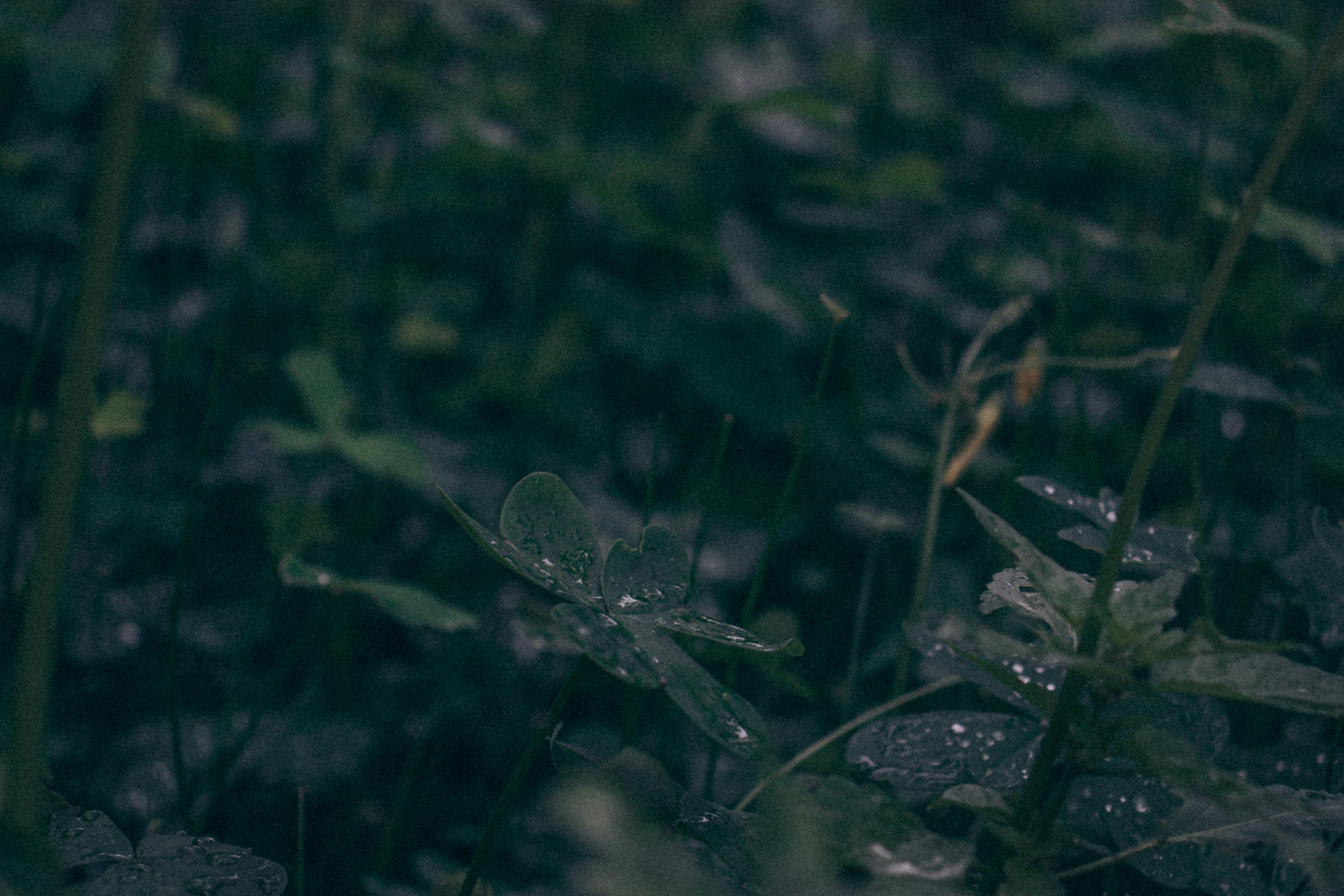 Photo by dyrophotography