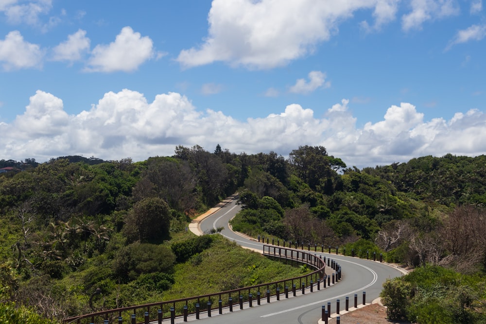 a winding road surrounded by lush green trees