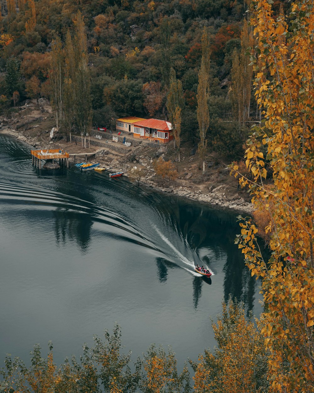 a boat traveling down a river next to a forest