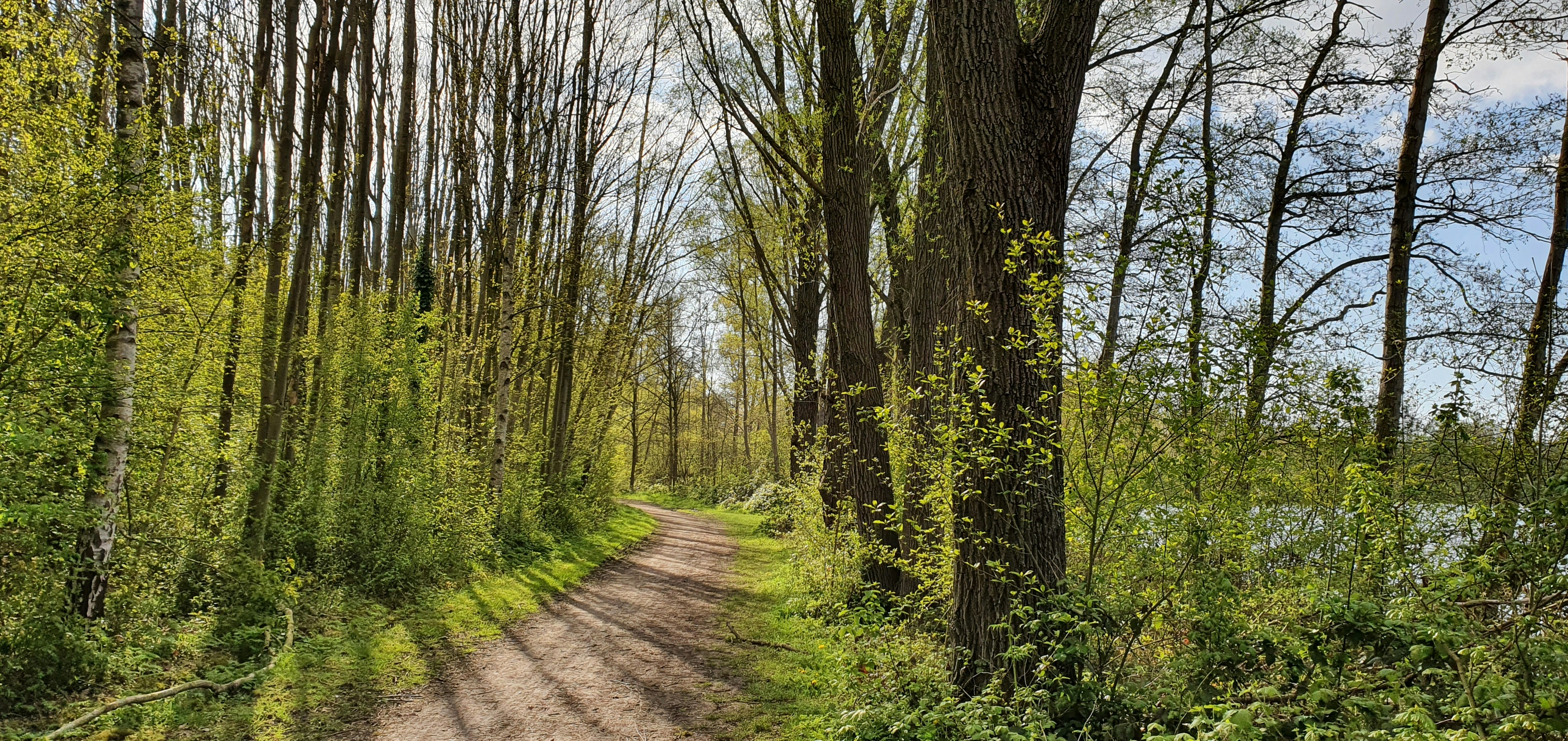 Book Your Assessment