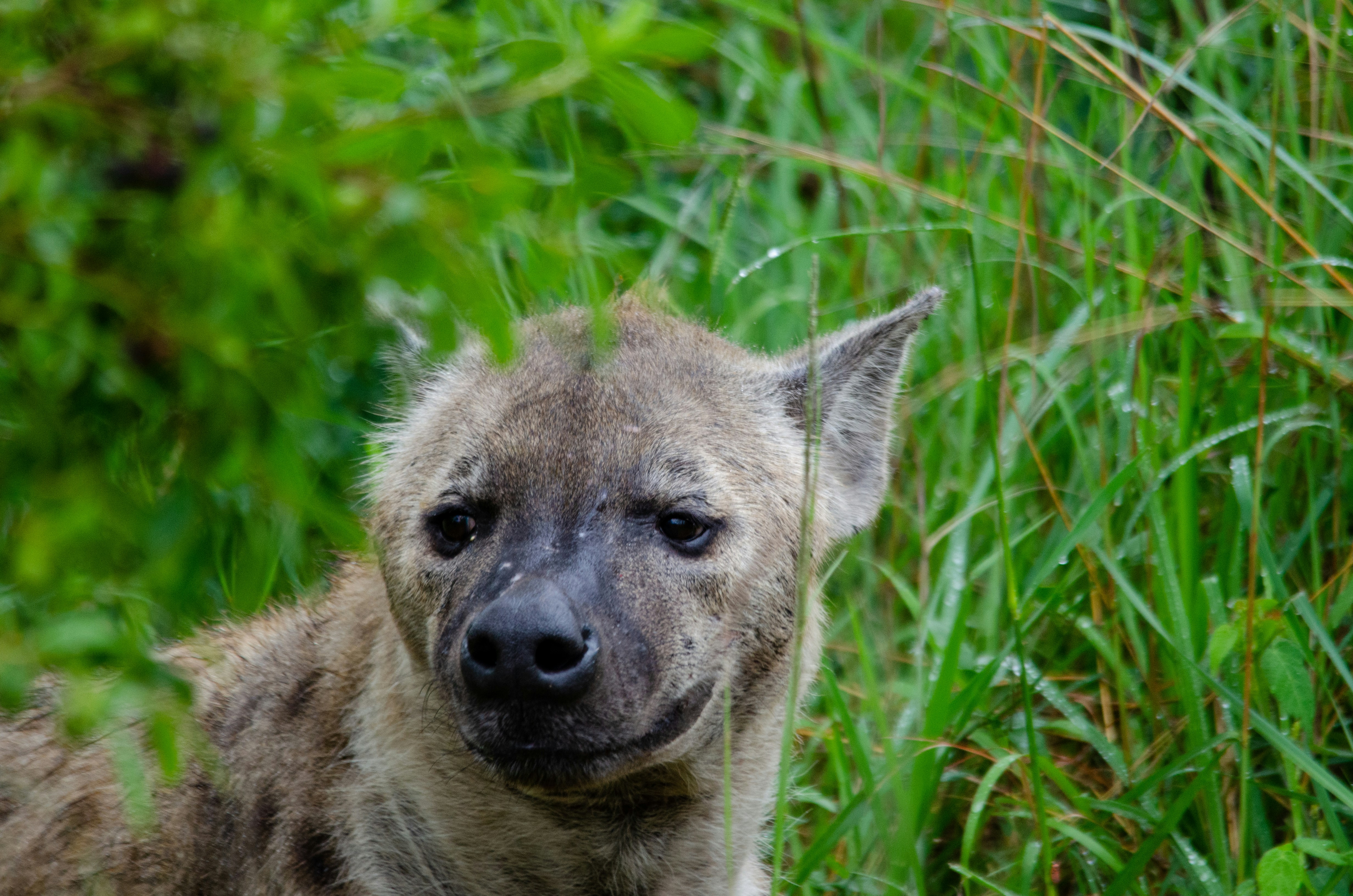 Photo by stewardesign