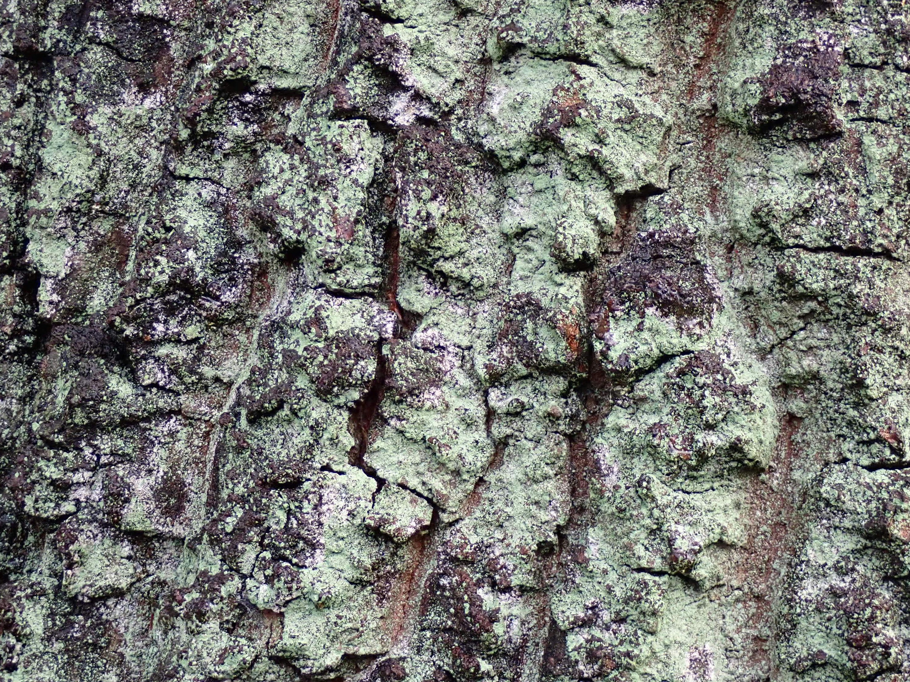 Photo by mostlymarvelling