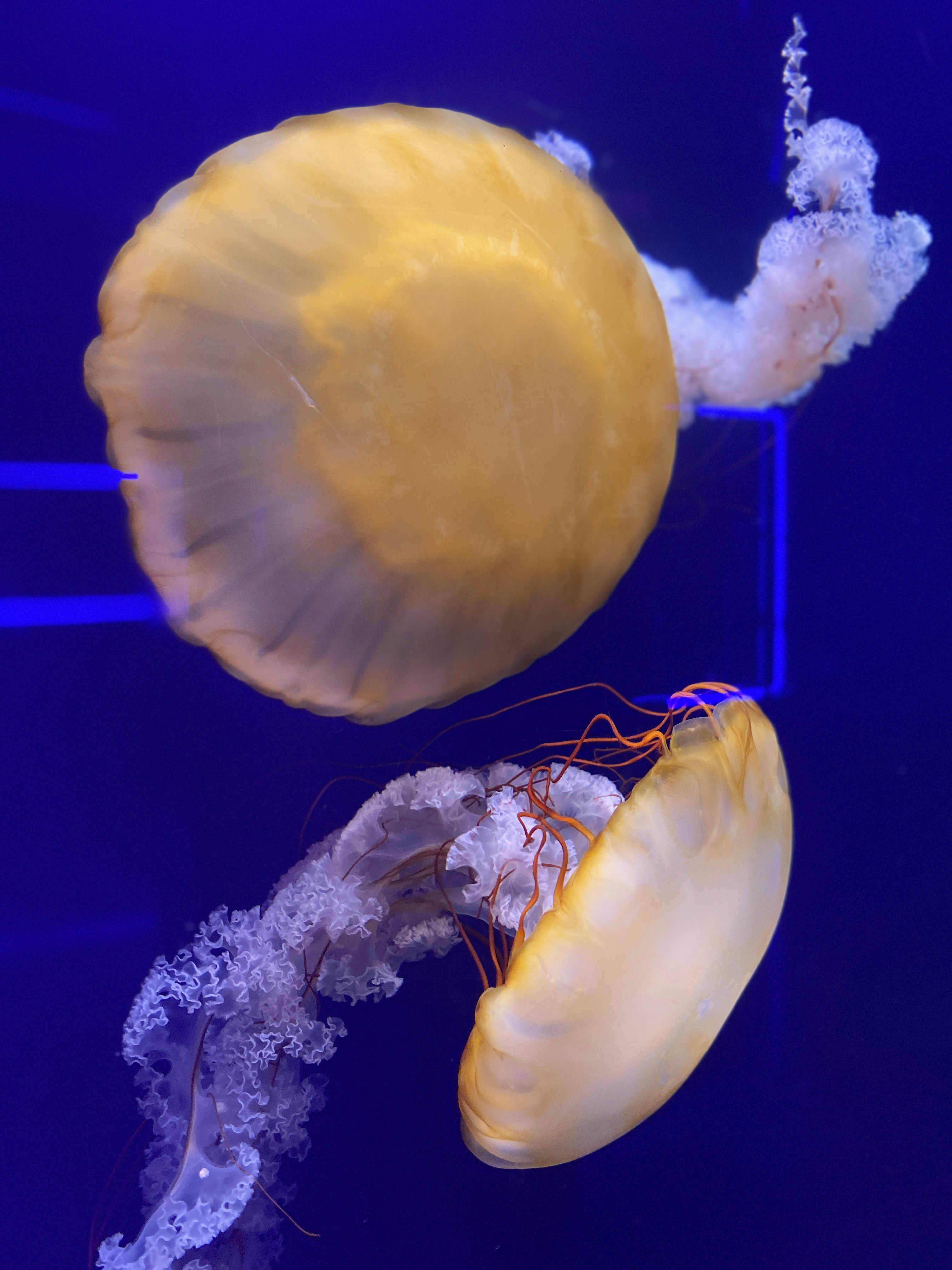 Photo by fasipe_tobi