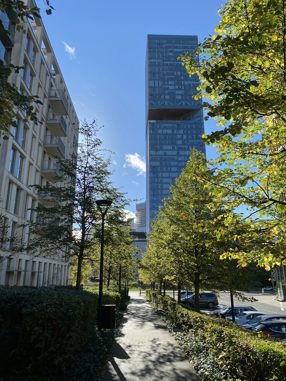 a city street lined with tall buildings and trees