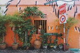 a building with a bunch of potted plants in front of it