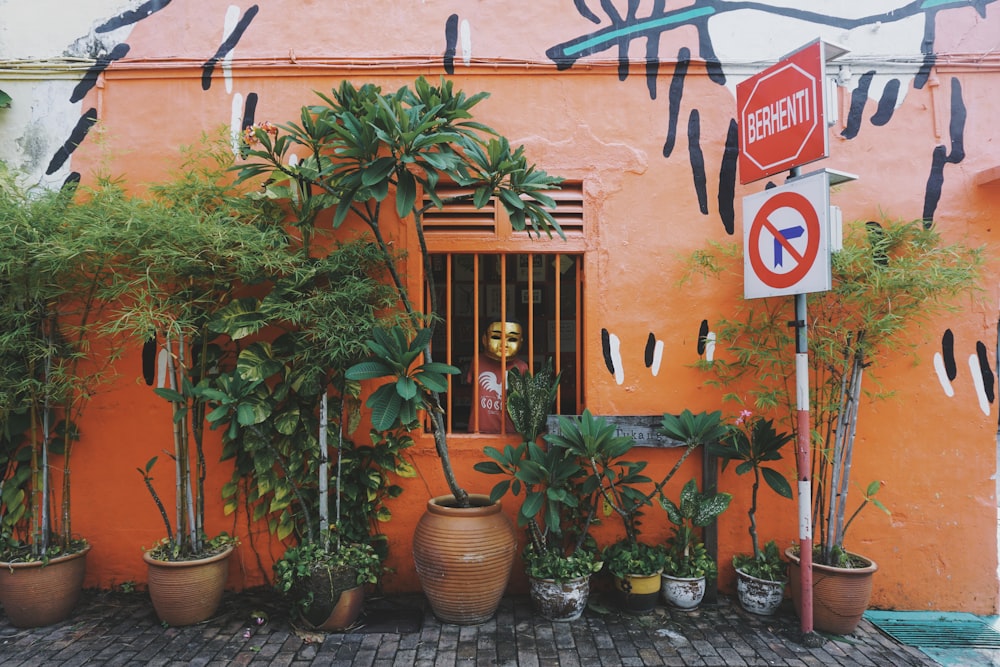 a building with a bunch of potted plants in front of it