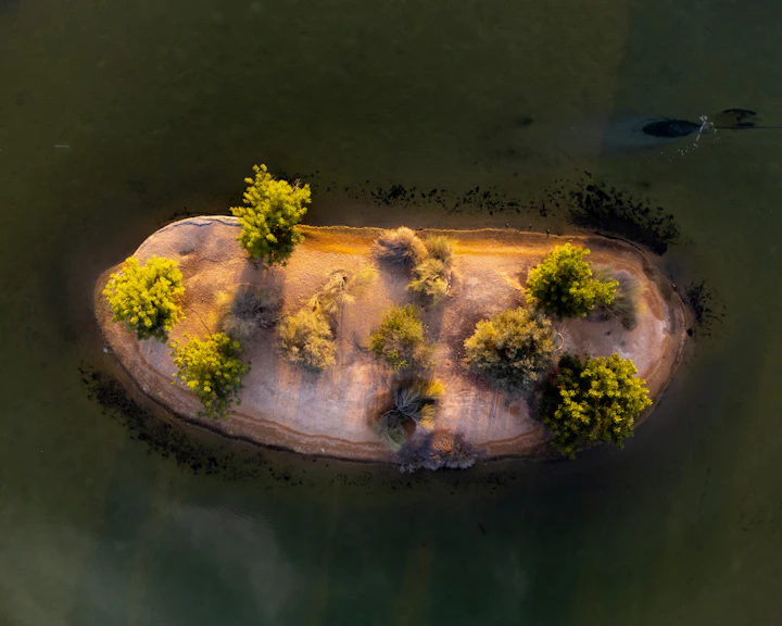 Aerial view of a small residential island in open water
