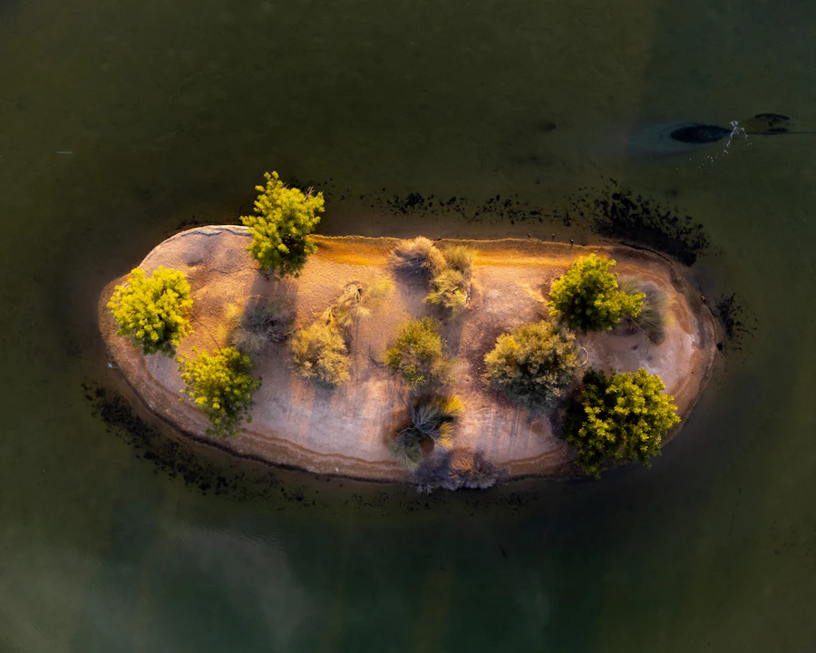 Aerial view of a small residential island in open water