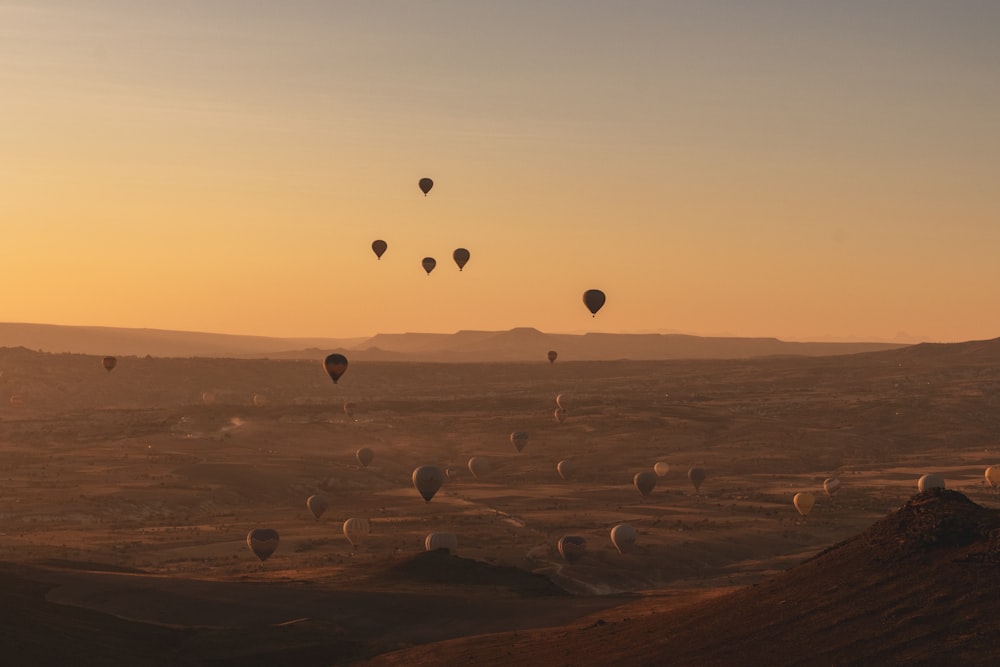 a group of hot air balloons flying in the sky