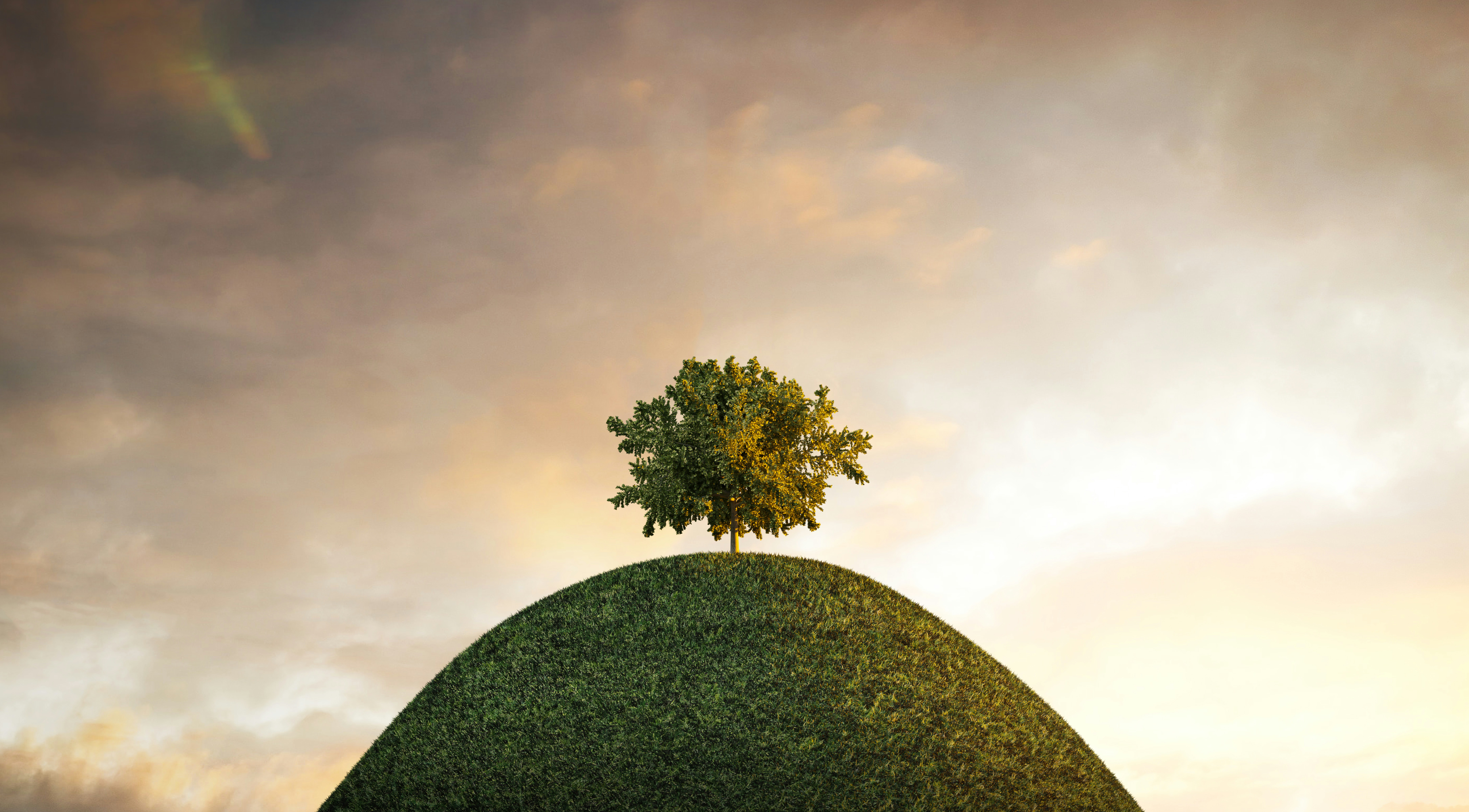 空の背景を持つ丘の上の木