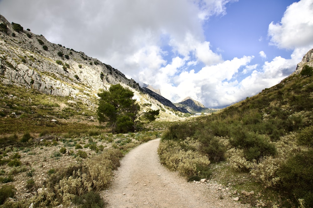 a dirt road in the middle of a mountain