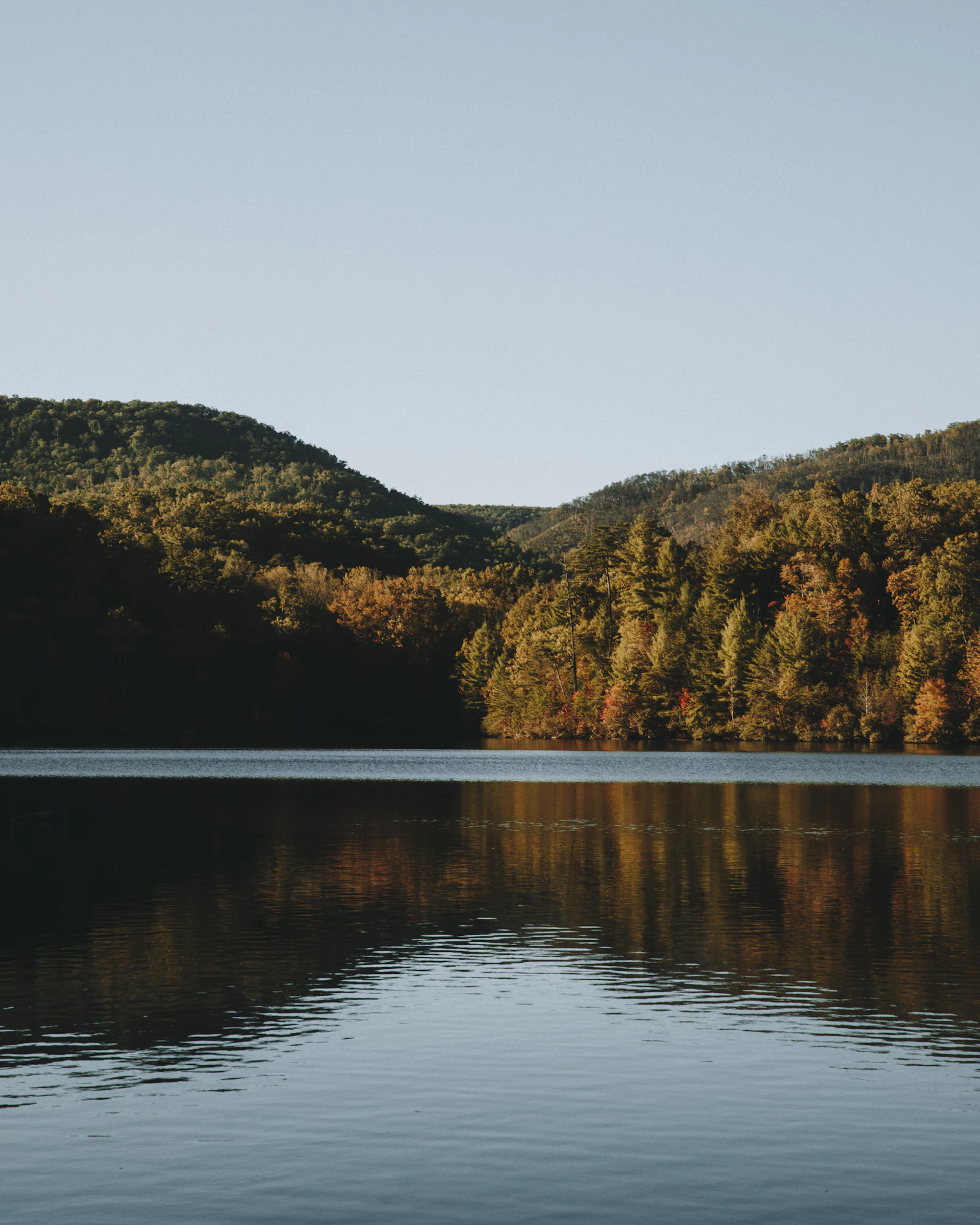 A wide lake ringed by trees.