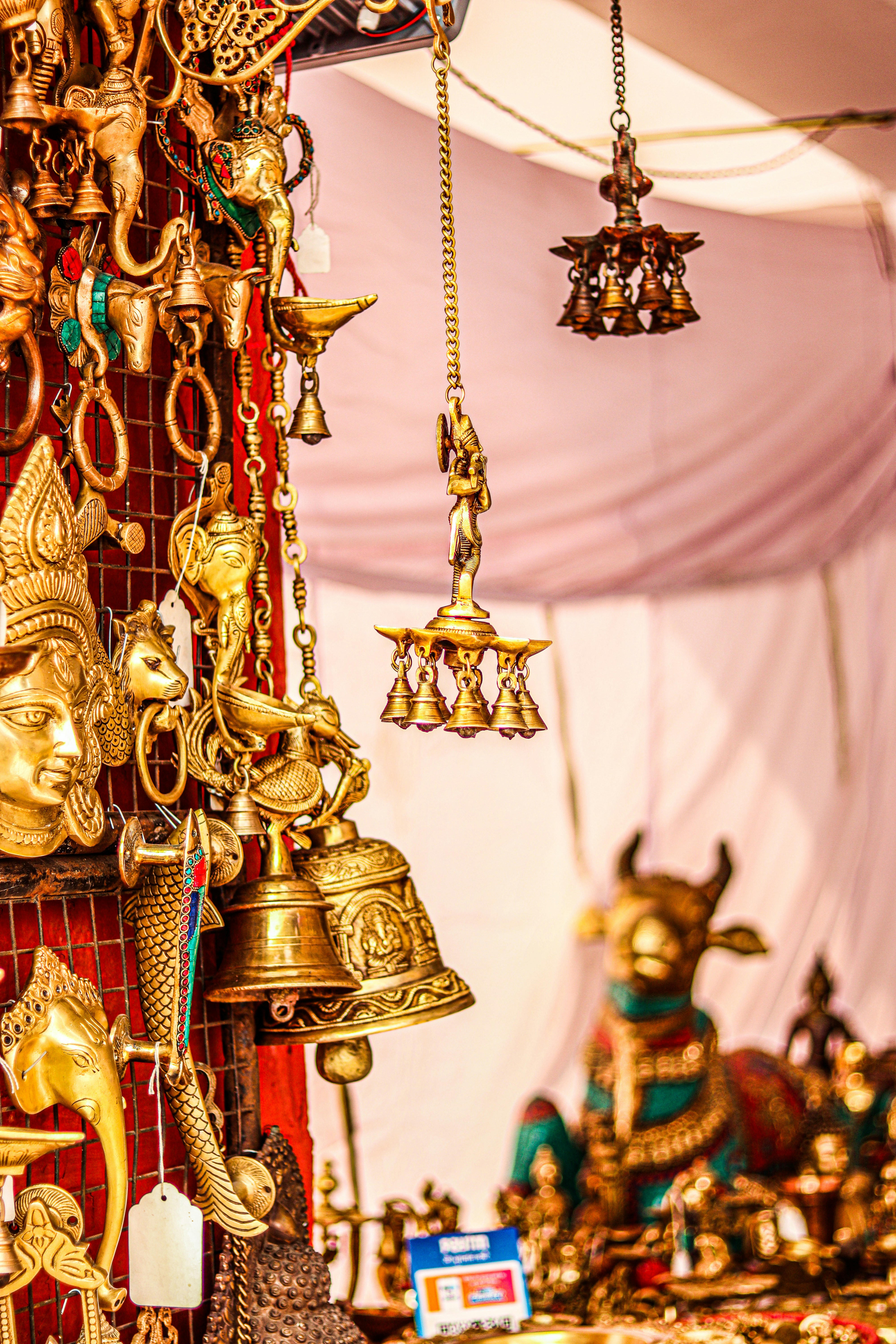 Photo by swastikarora