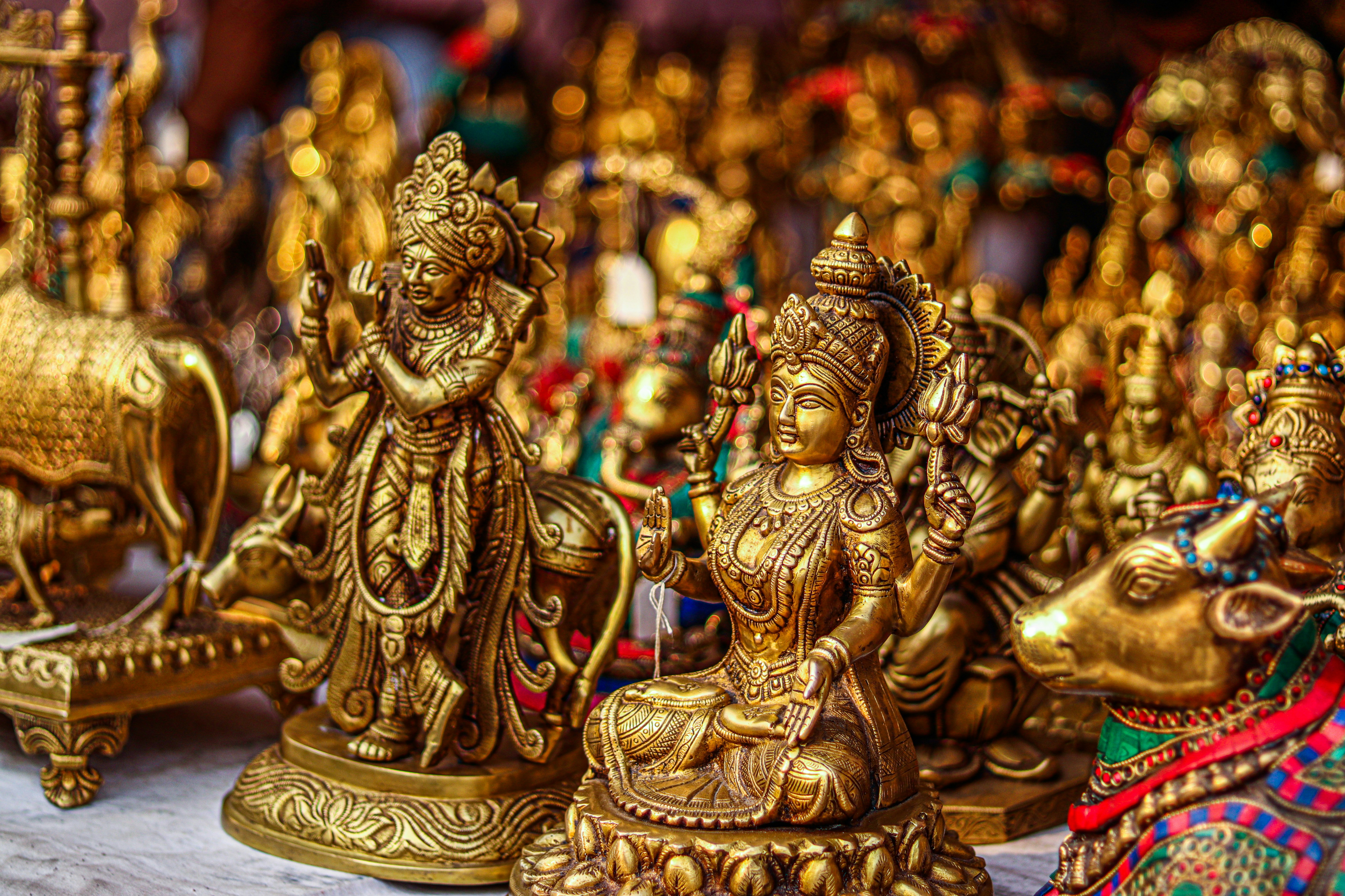 Photo by swastikarora