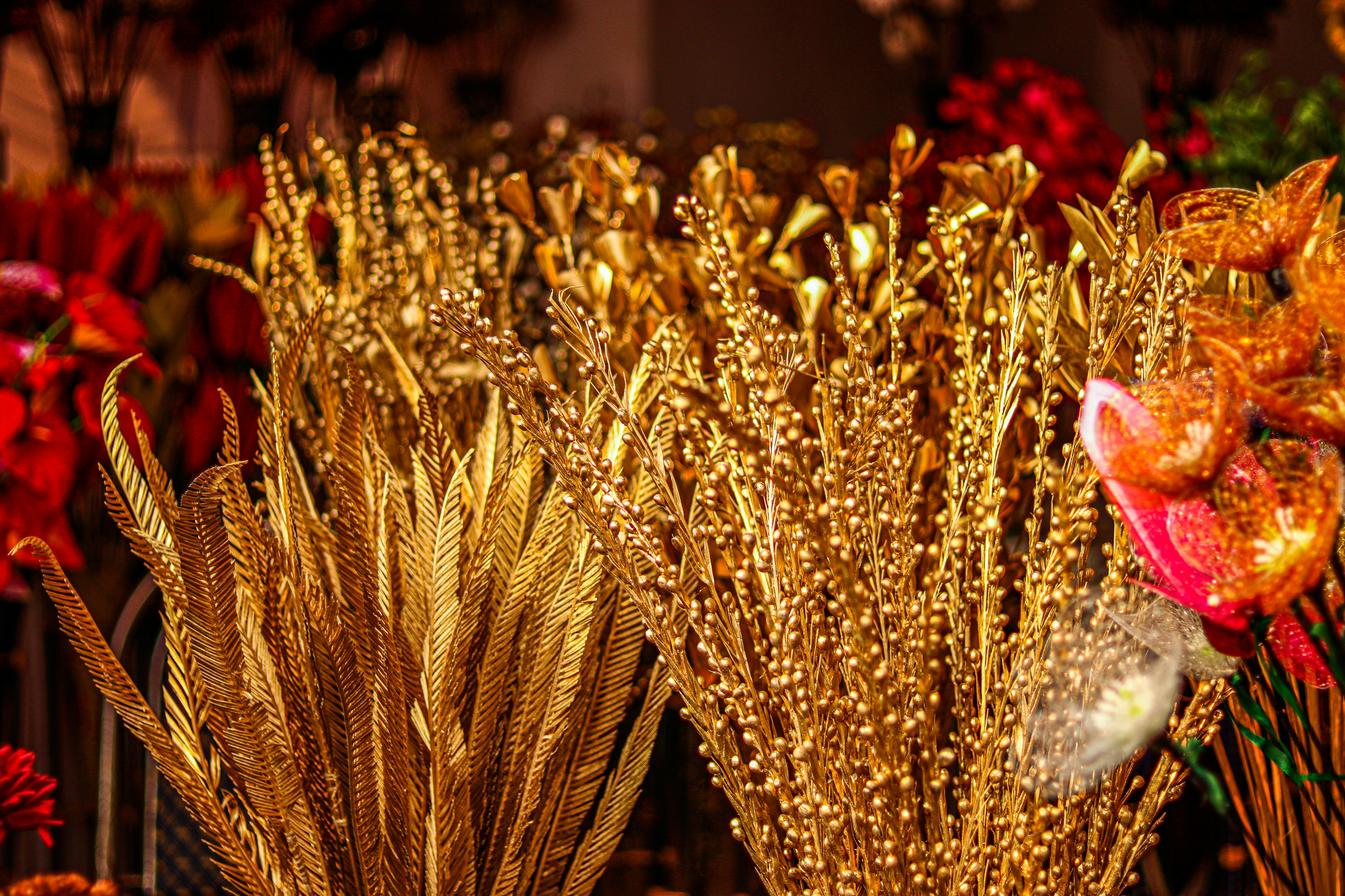 Photo by swastikarora