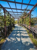 A paved path is shaded by a metal pergola structure with plants and vines growing along its sides. The pathway is surrounded by lush greenery and decorative wooden fences, creating a serene and inviting atmosphere. Sunlight casts intricate shadows on the blue-gray pavers.